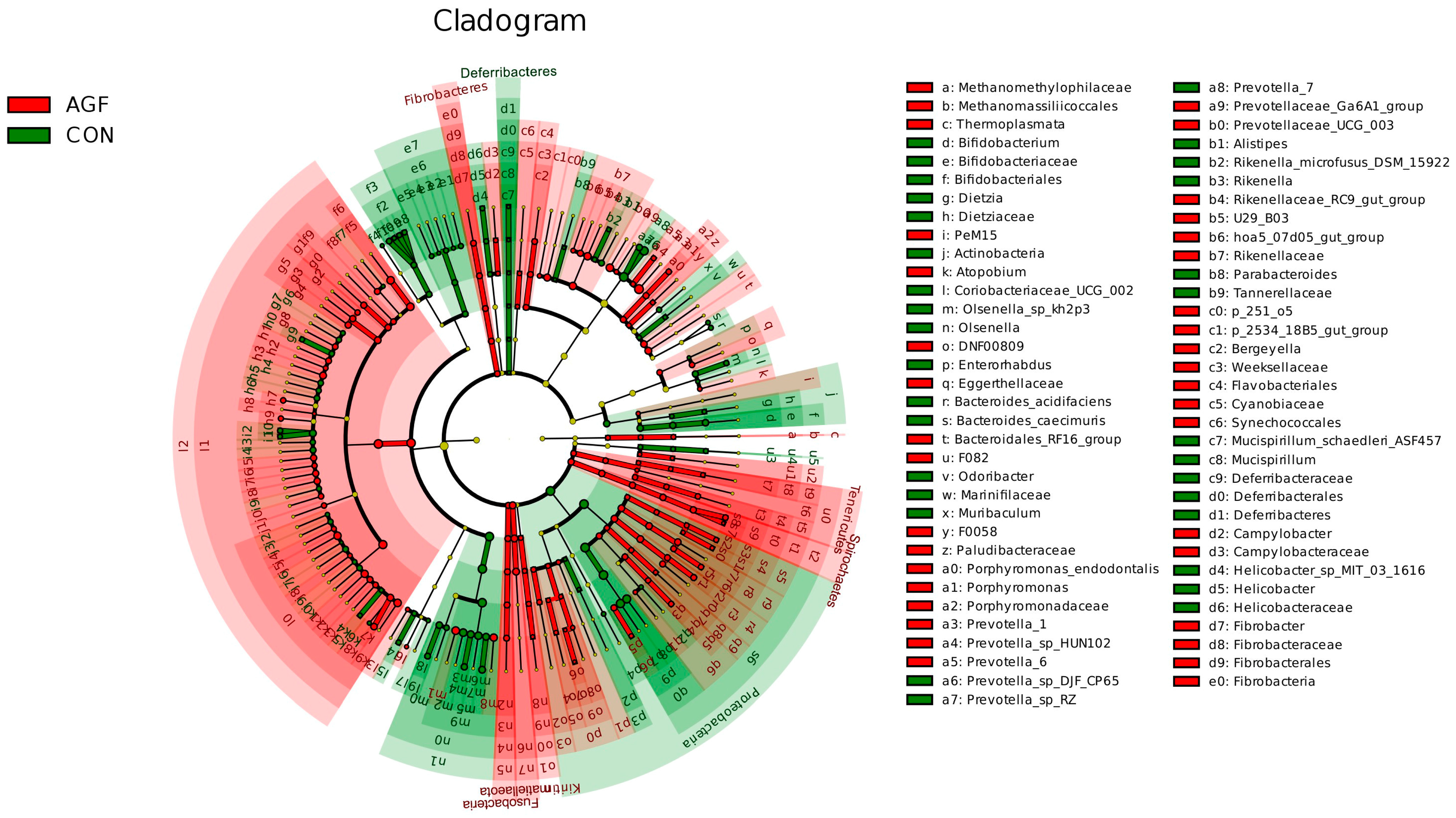Animals 13 02454 g005