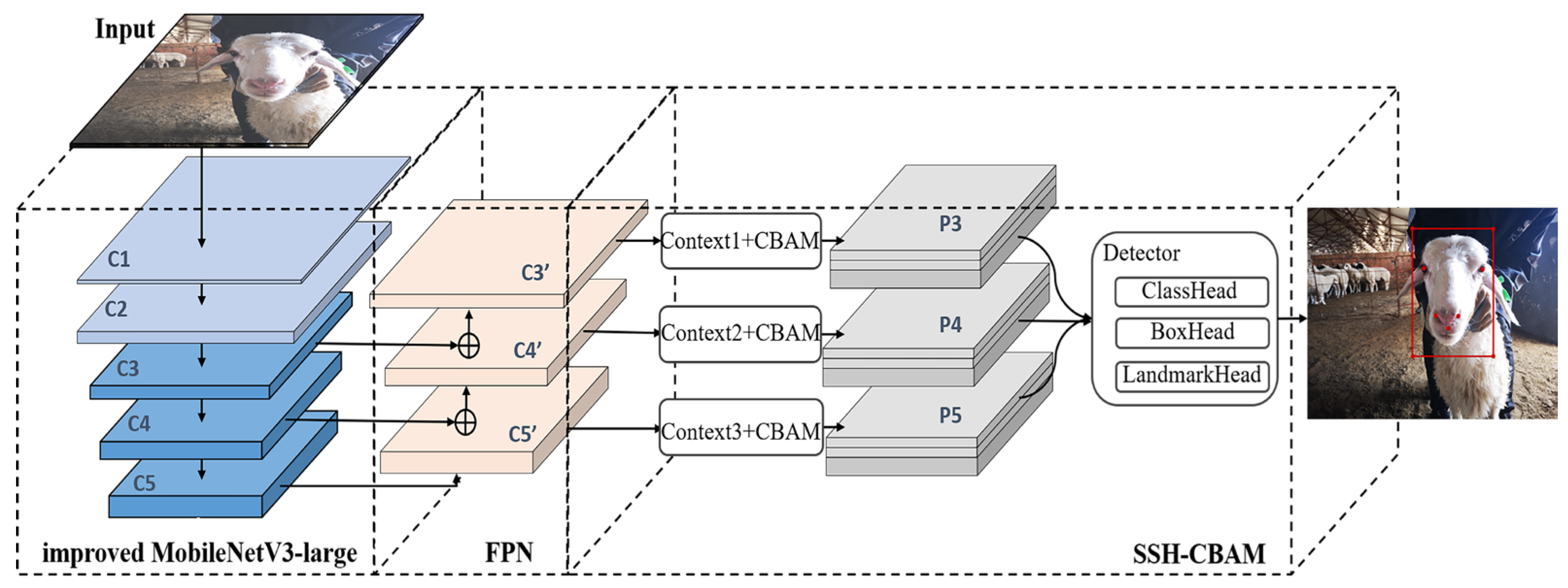 Animals 13 02458 g002