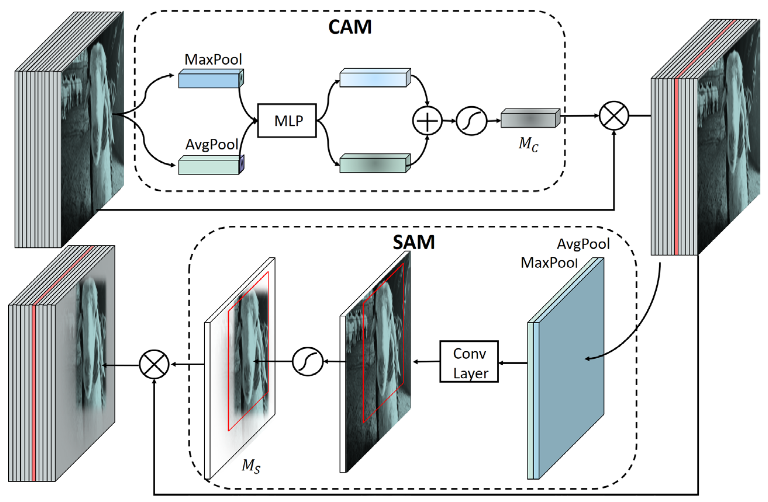 Animals 13 02458 g005