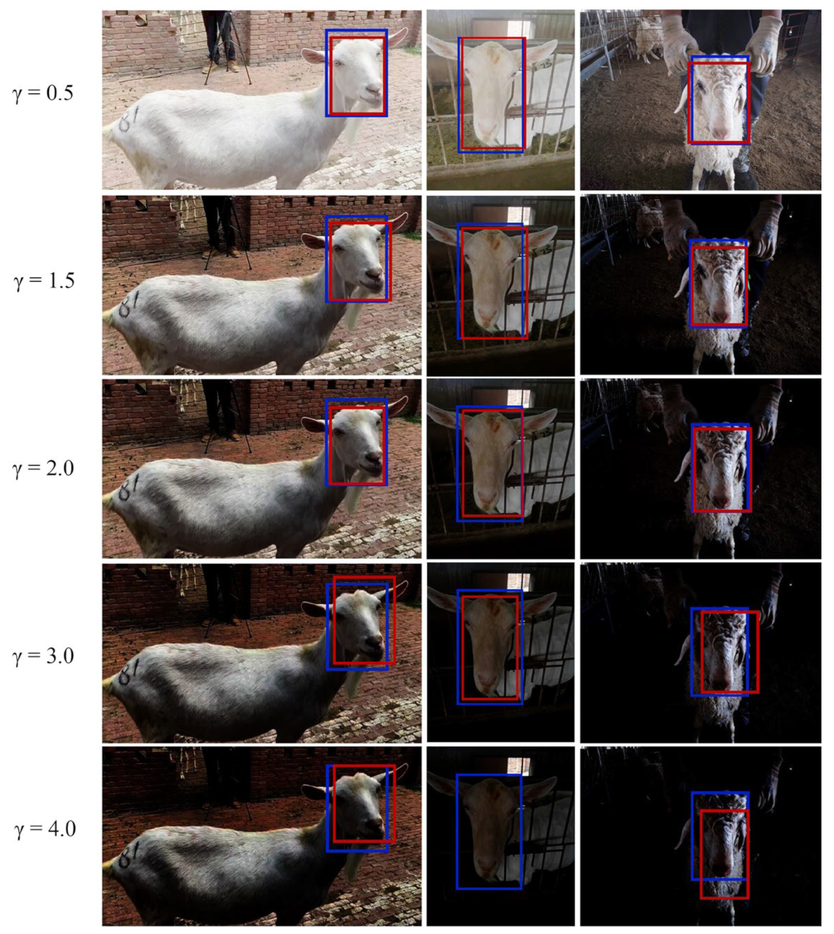 Animals 13 02458 g007