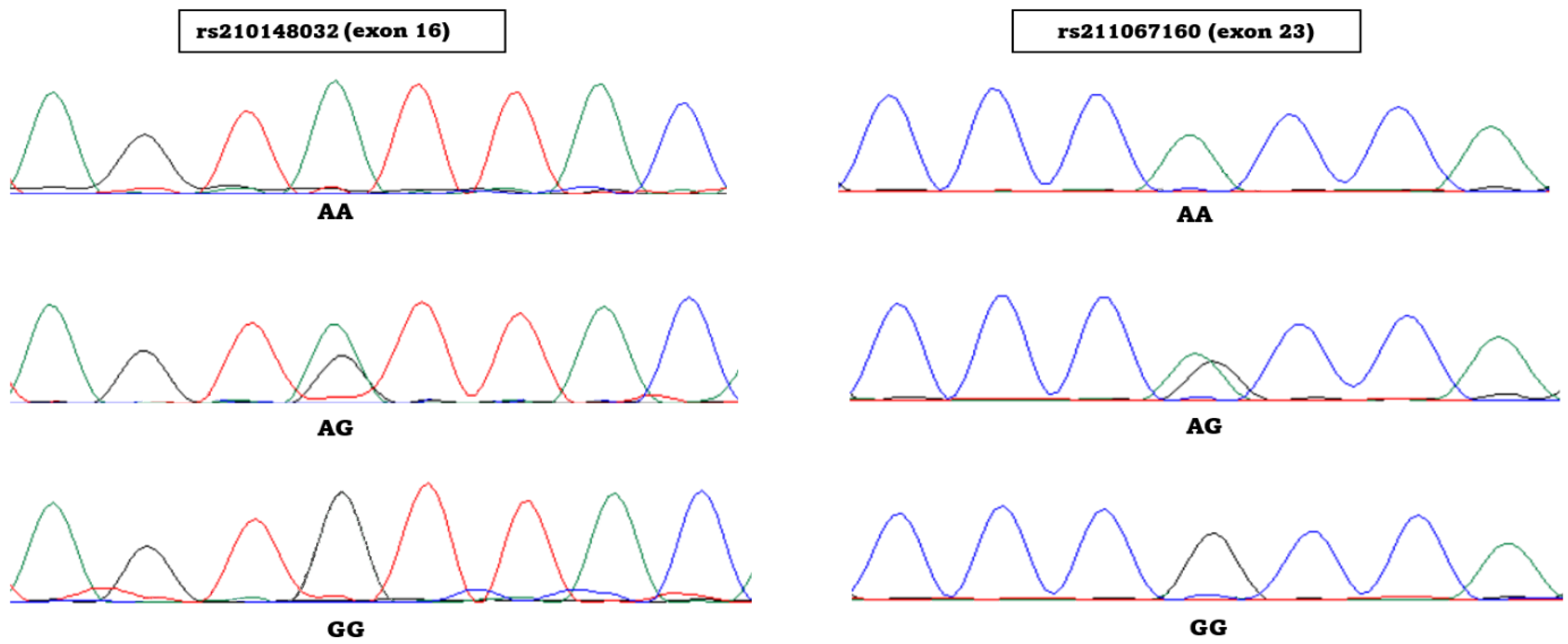Animals 13 02470 g002 Animals 13 02470 g002