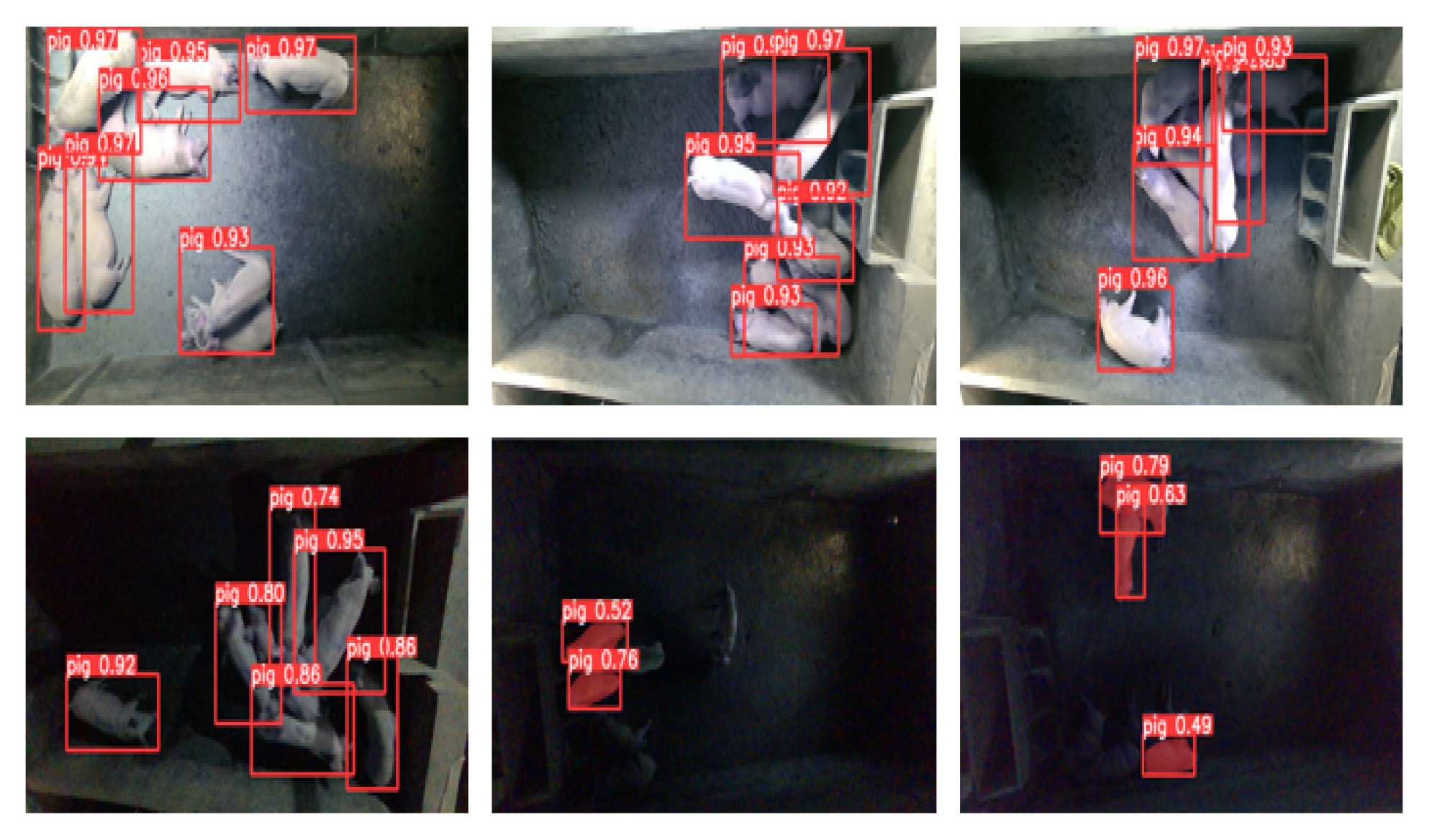 Animals 13 02472 g014