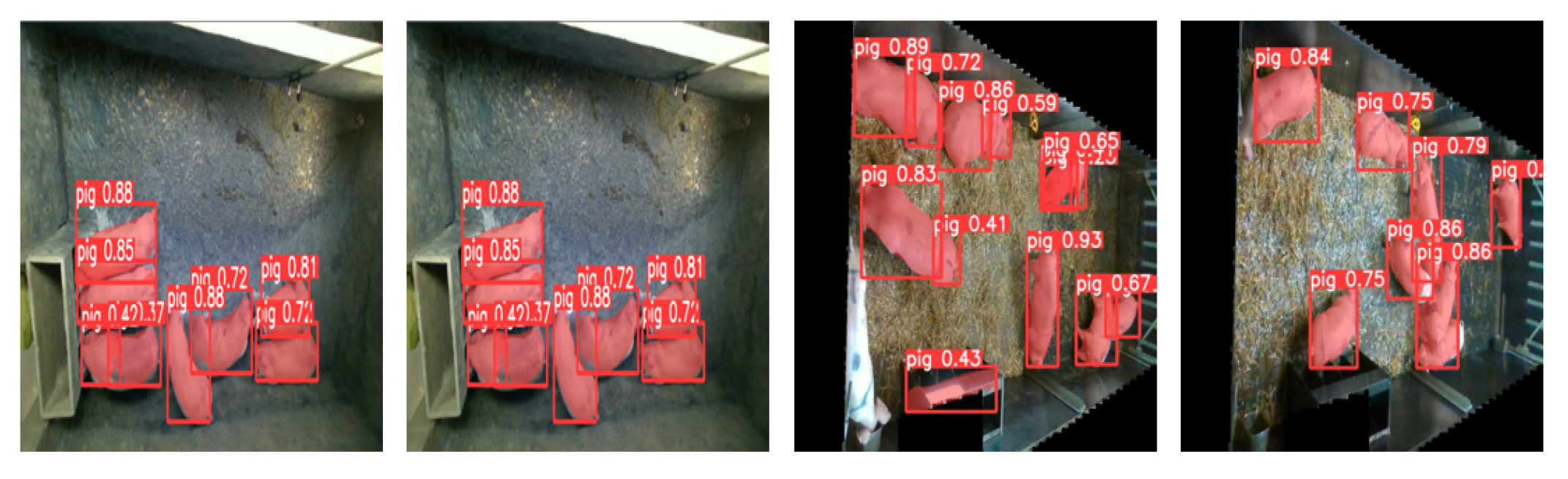 Animals 13 02472 g015