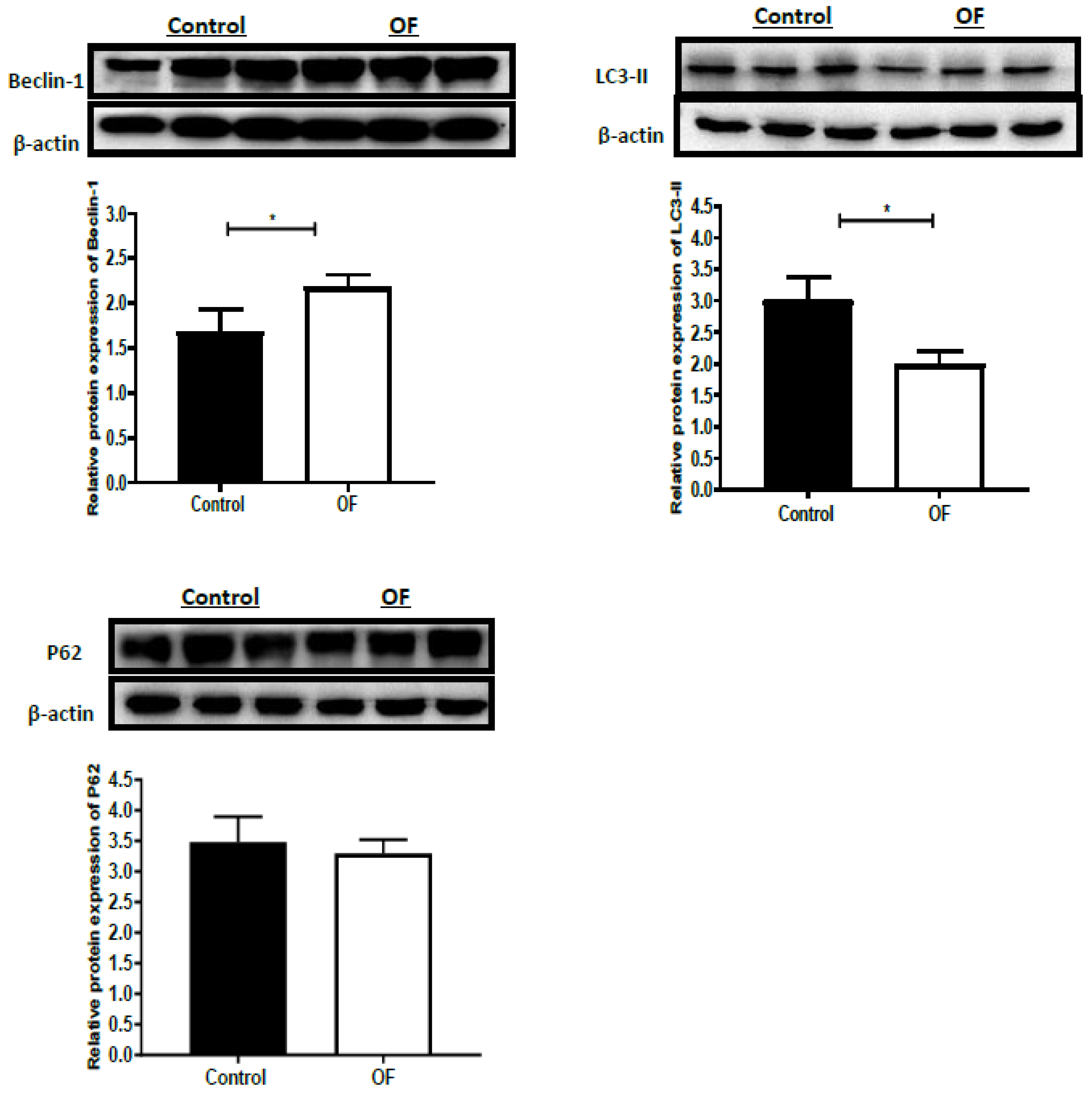 Animals 13 02478 g002