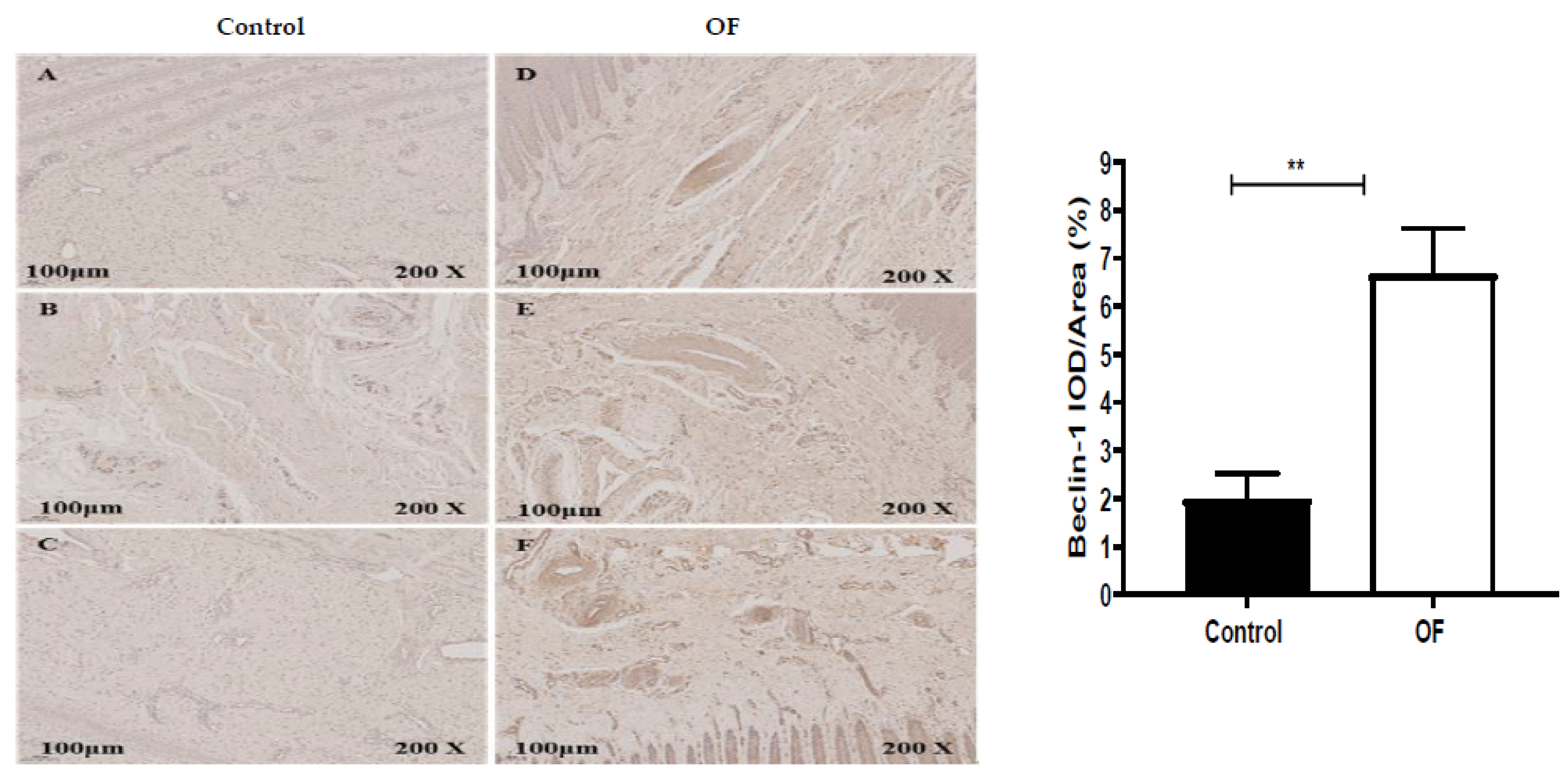 Animals 13 02478 g003