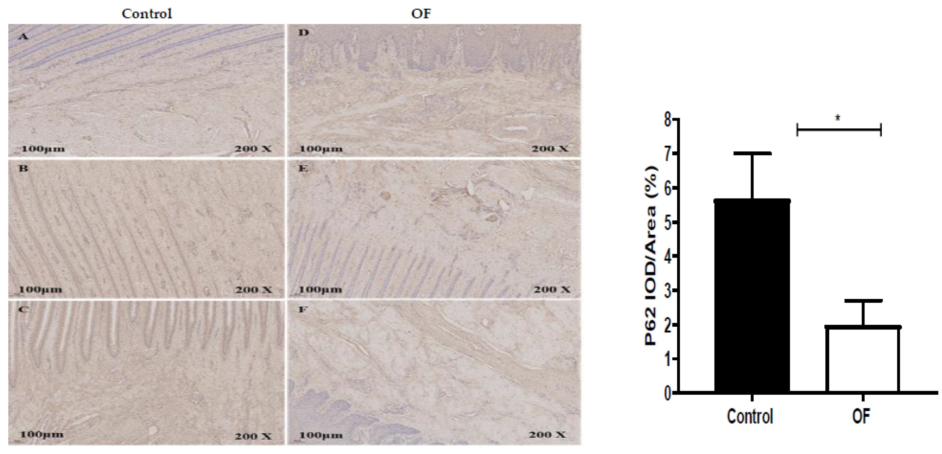 Animals 13 02478 g004