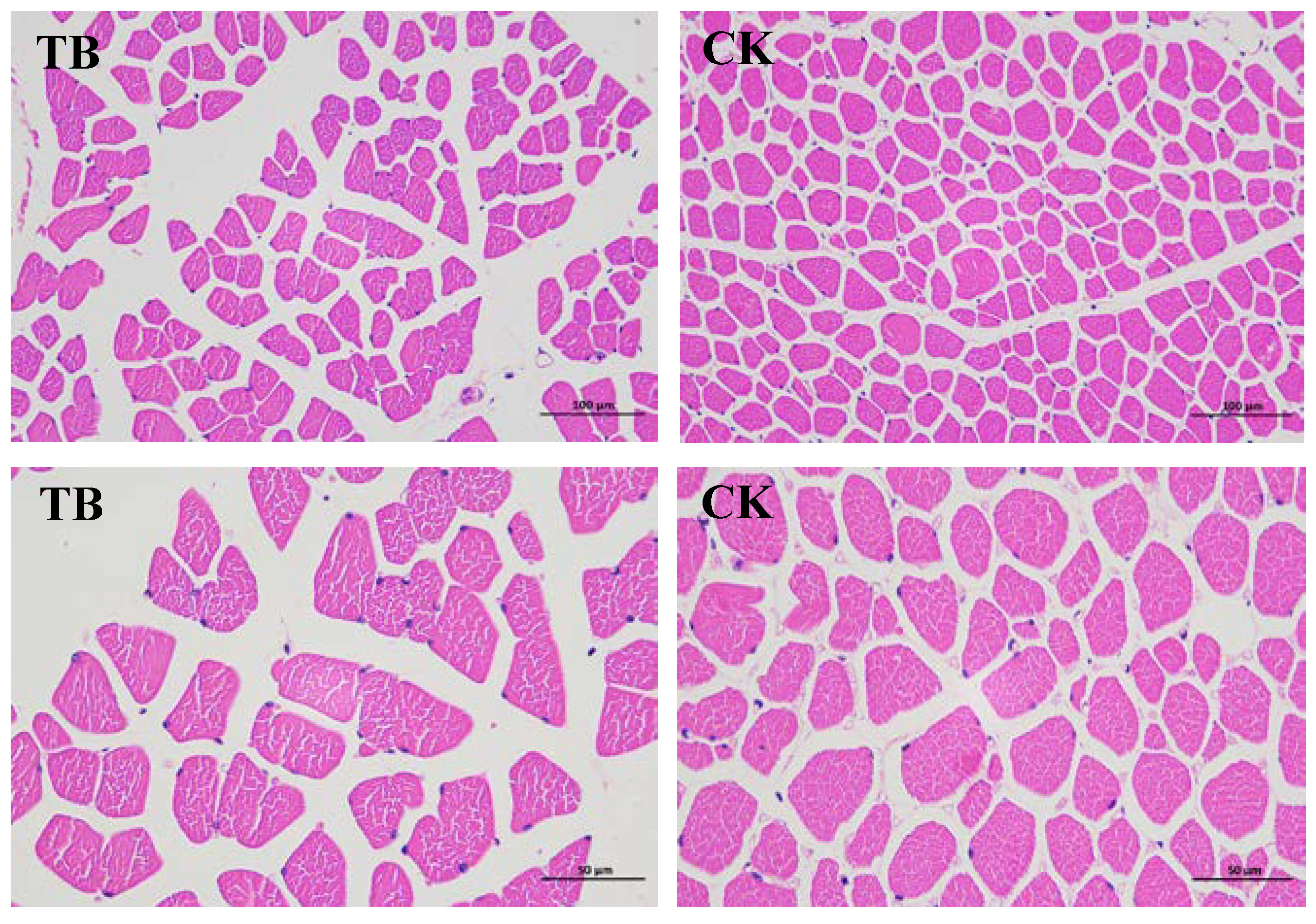 Animals 13 02494 g001