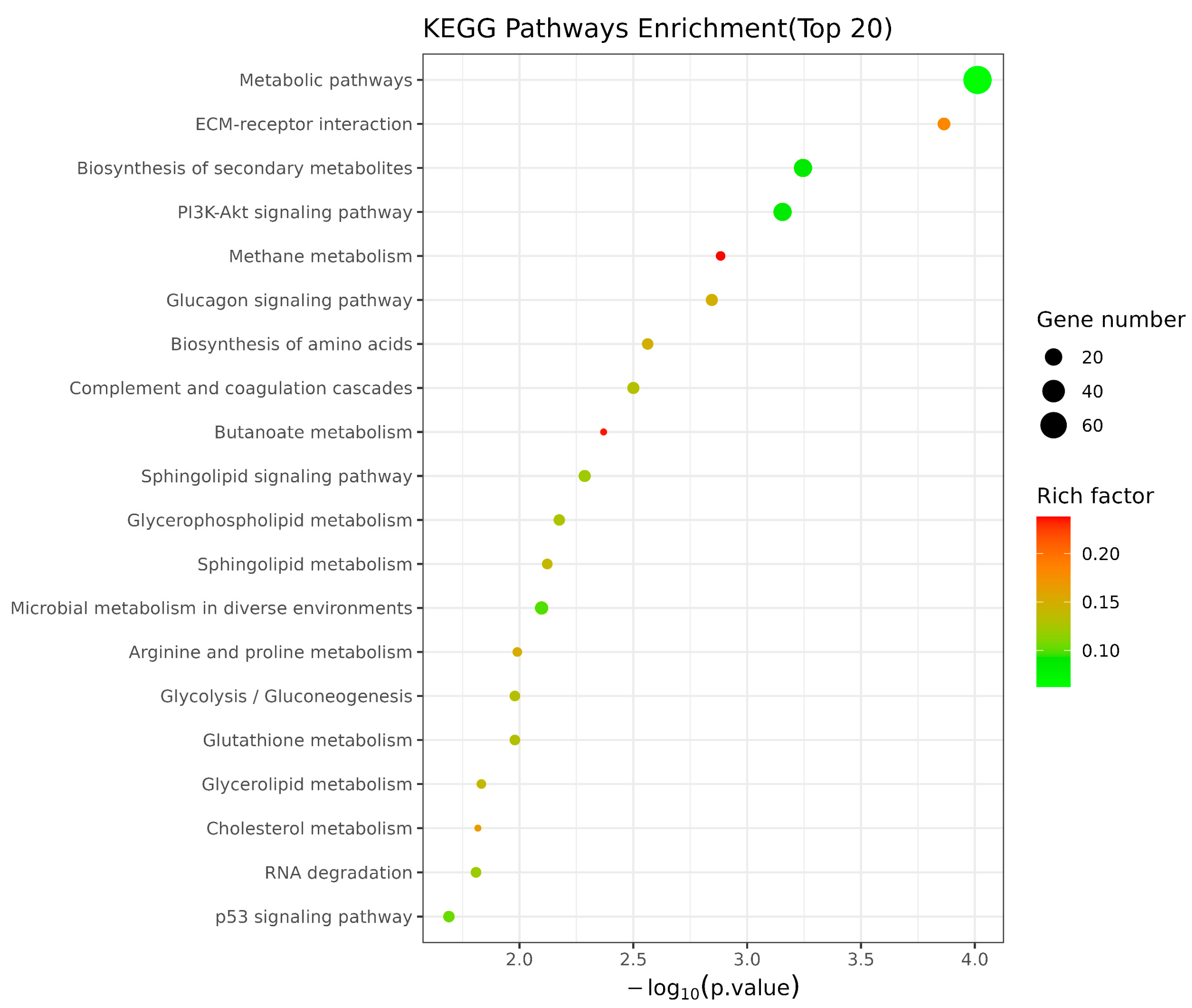 Animals 13 02494 g004