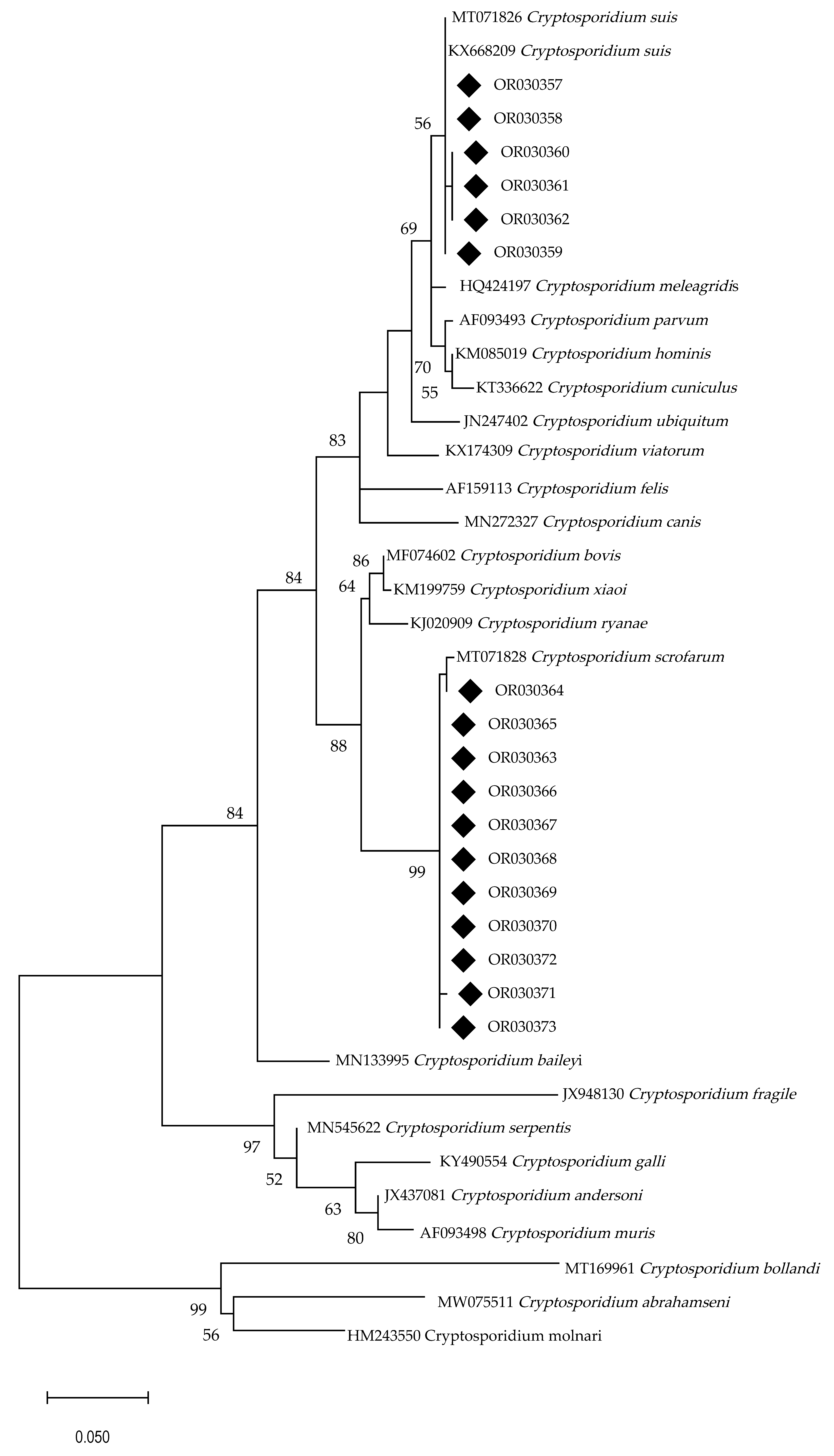 Animals 13 02501 g002 Animals 13 02501 g002