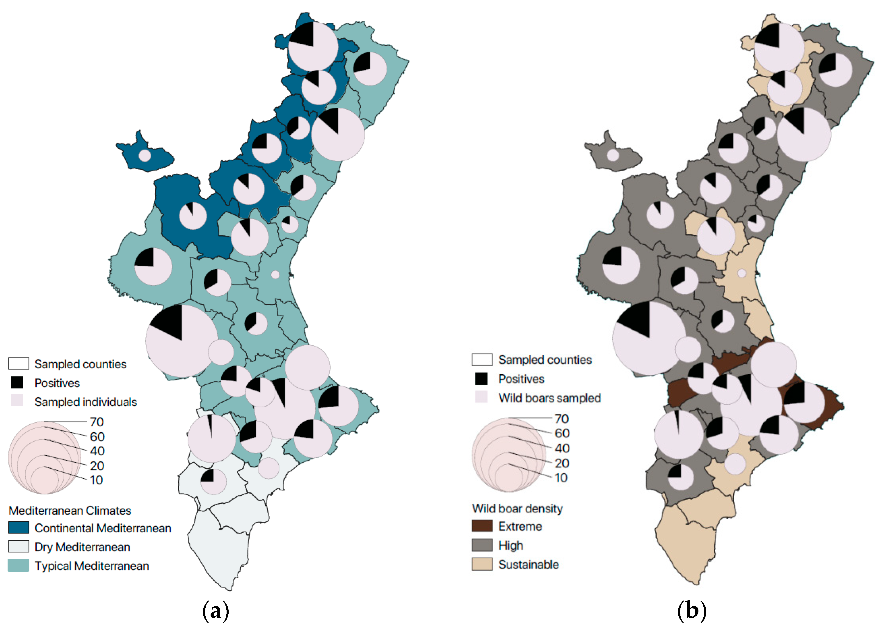 Animals 13 02501 g004 Animals 13 02501 g004