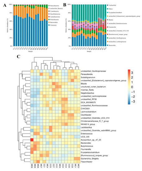 Environmental Microplastic Exposure Changes Gut Microbiota