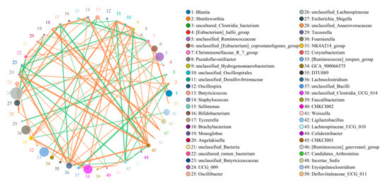 Environmental Microplastic Exposure Changes Gut Microbiota