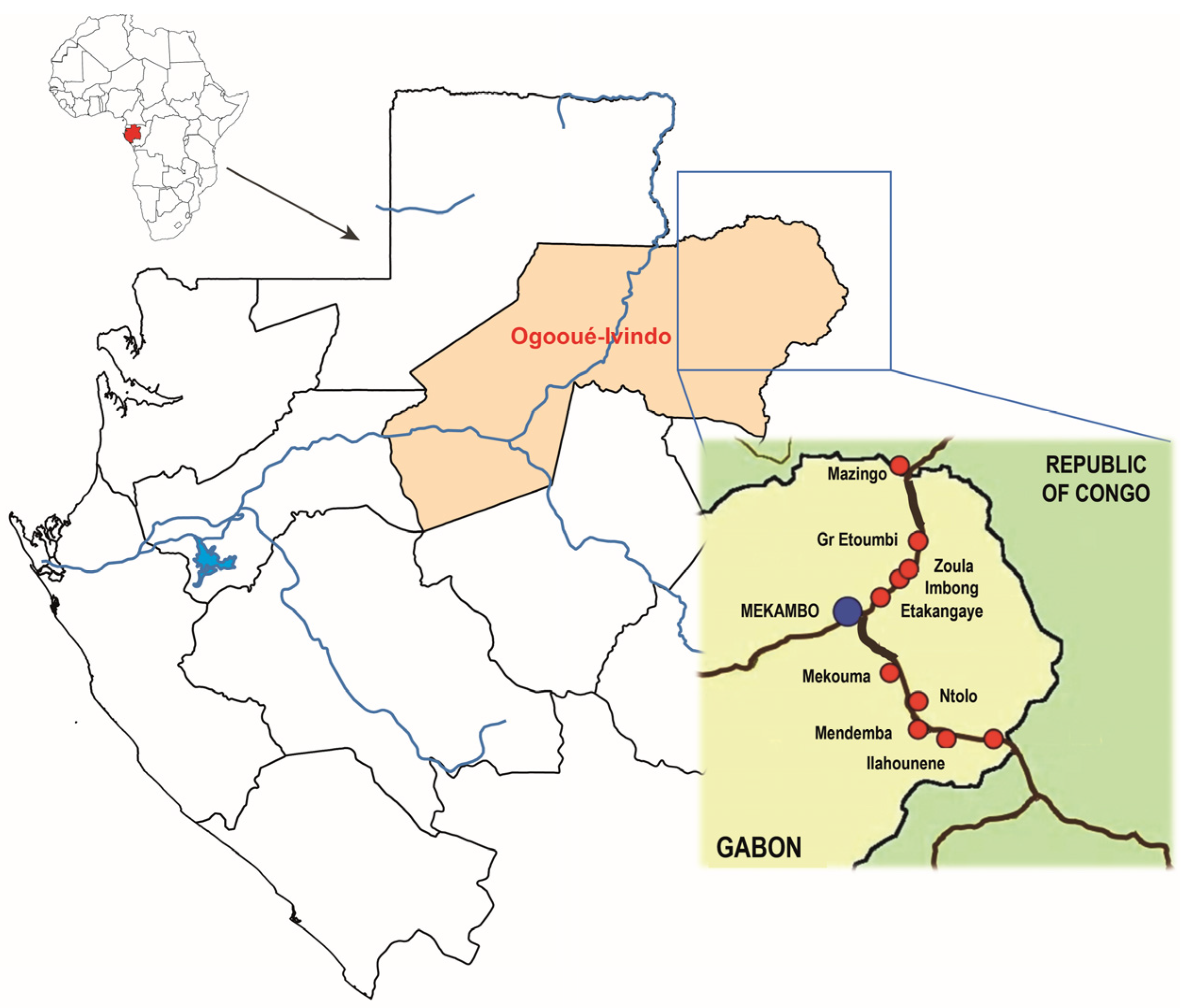 Animals 13 02512 g001 Animals 13 02512 g001