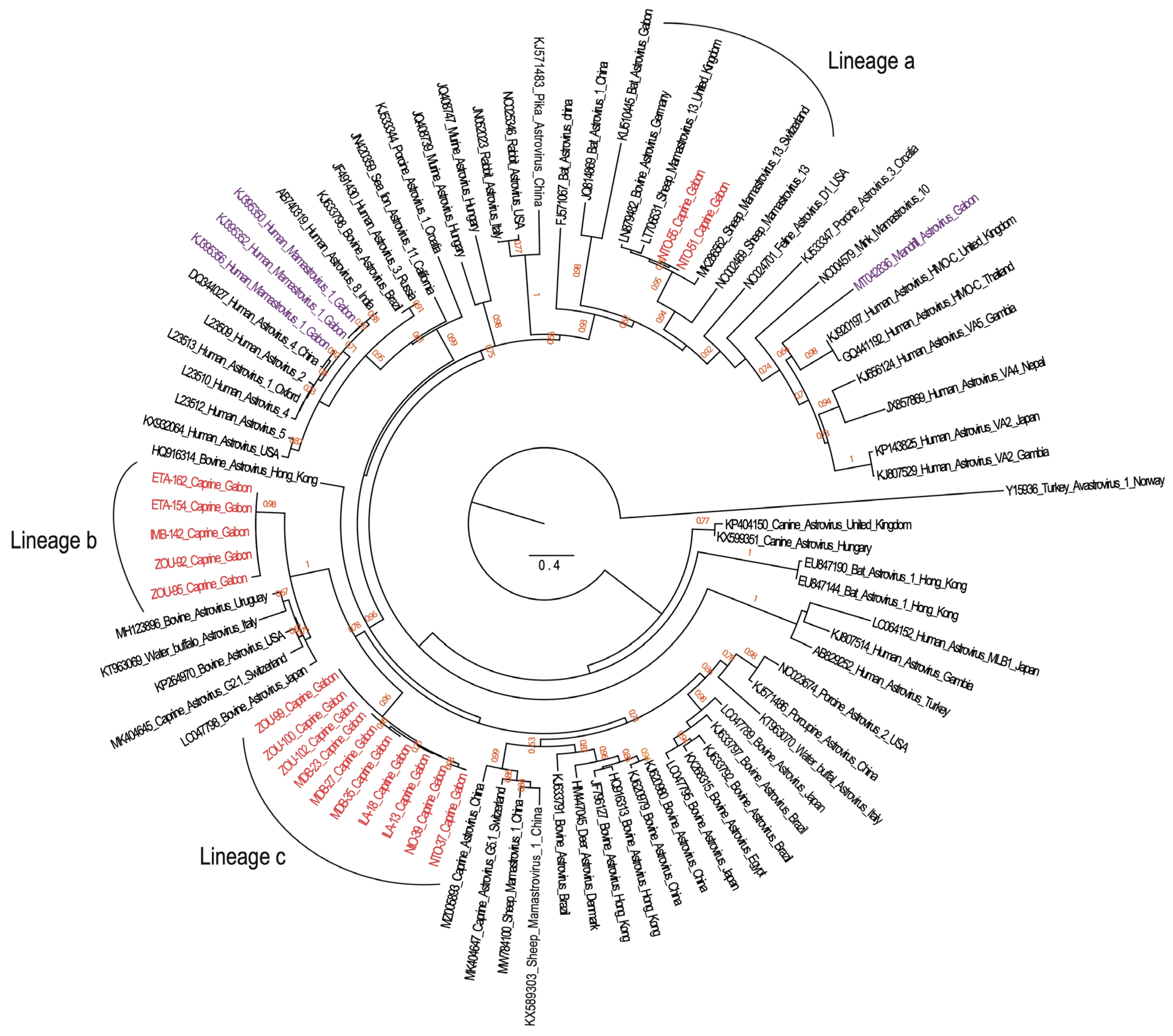 Animals 13 02512 g002 Animals 13 02512 g002