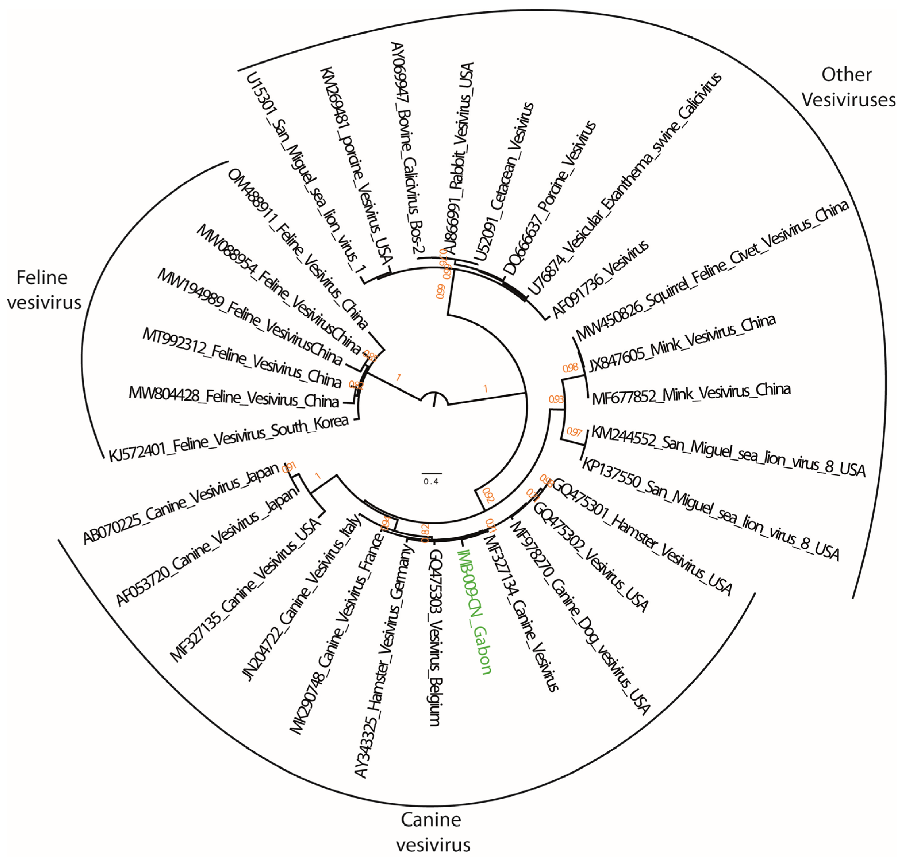 Animals 13 02512 g004 Animals 13 02512 g004