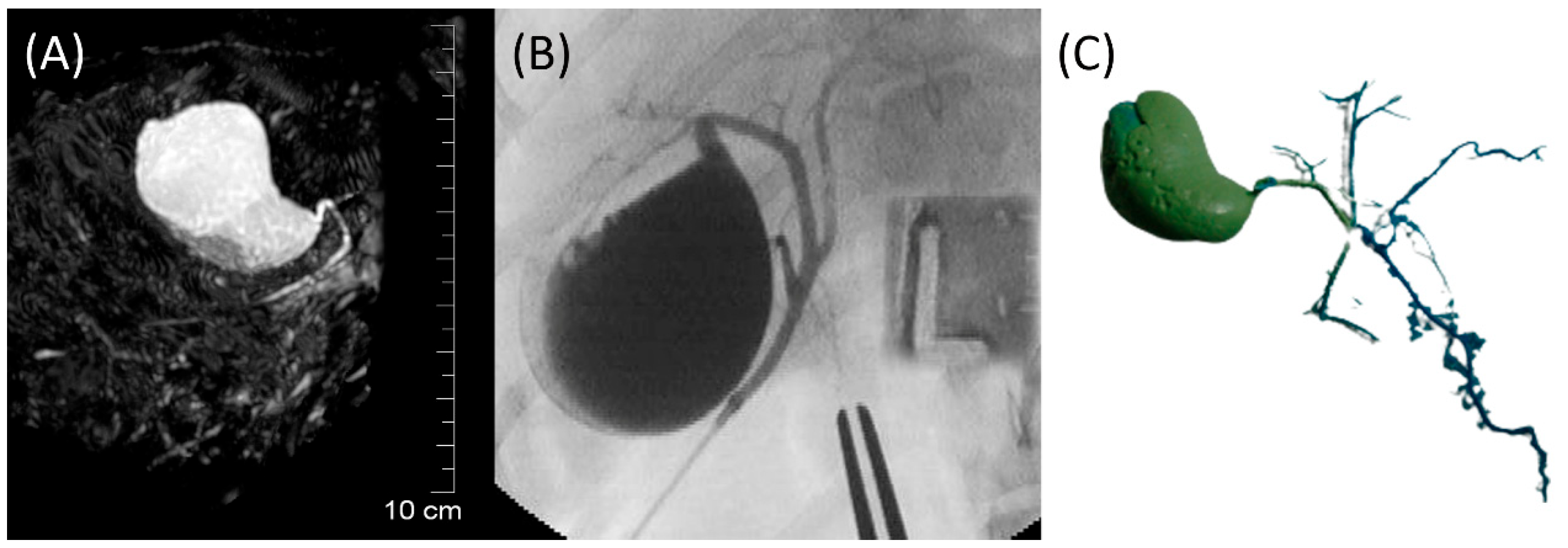 Animals 13 02517 g002 Animals 13 02517 g002