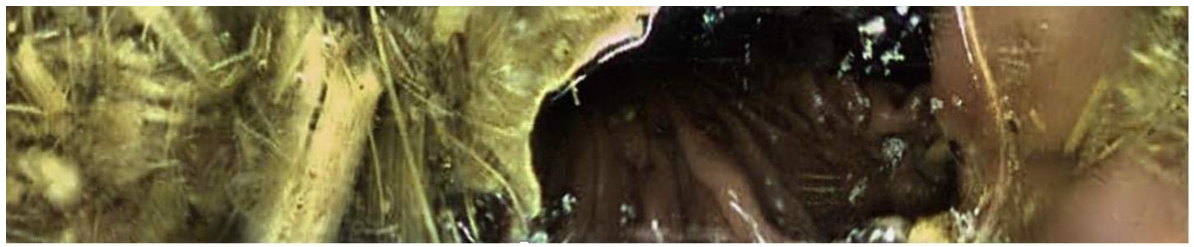 Animals 13 02518 g003