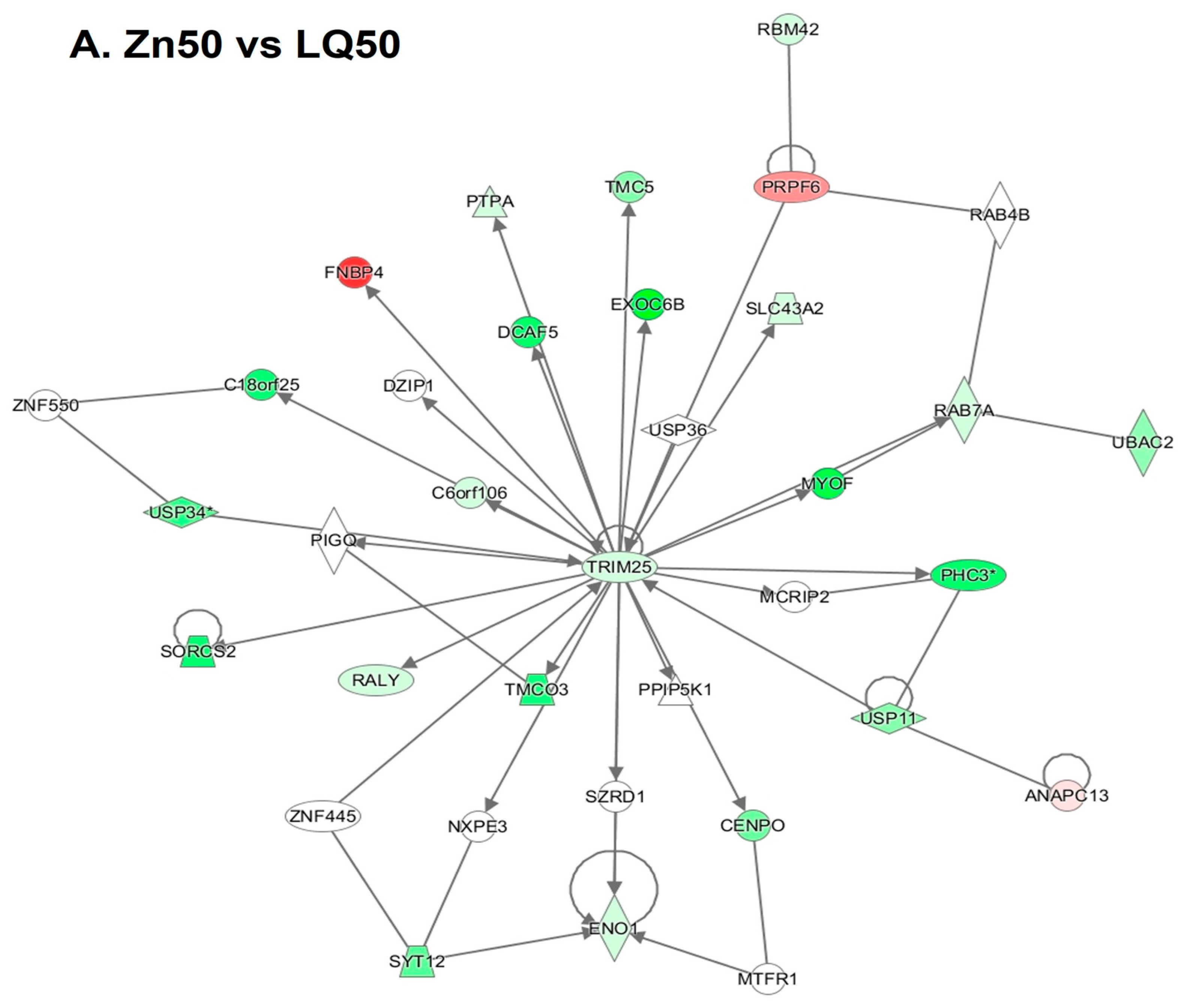 Animals 13 02519 g003a Animals 13 02519 g003a