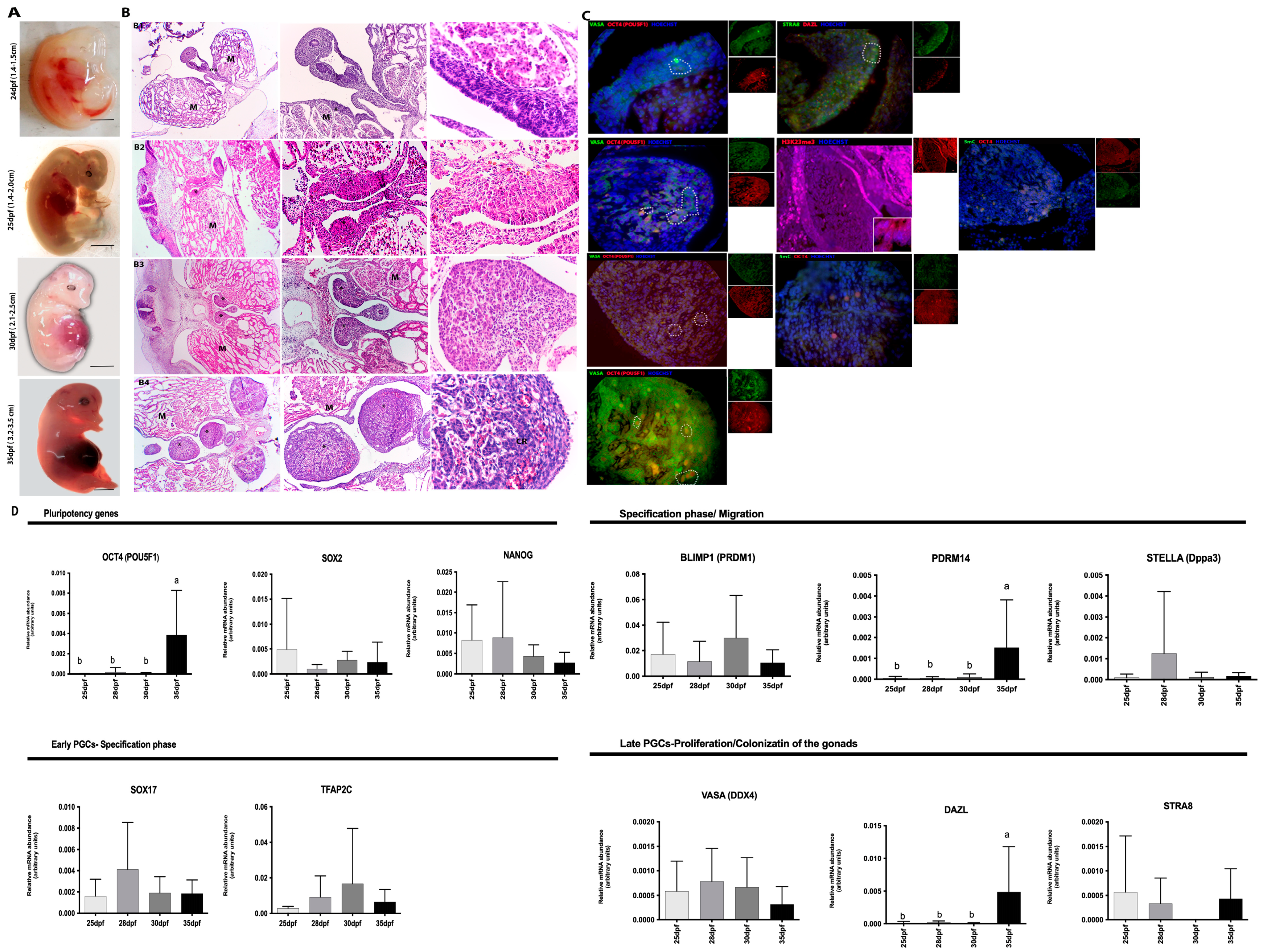 Animals 13 02520 g001