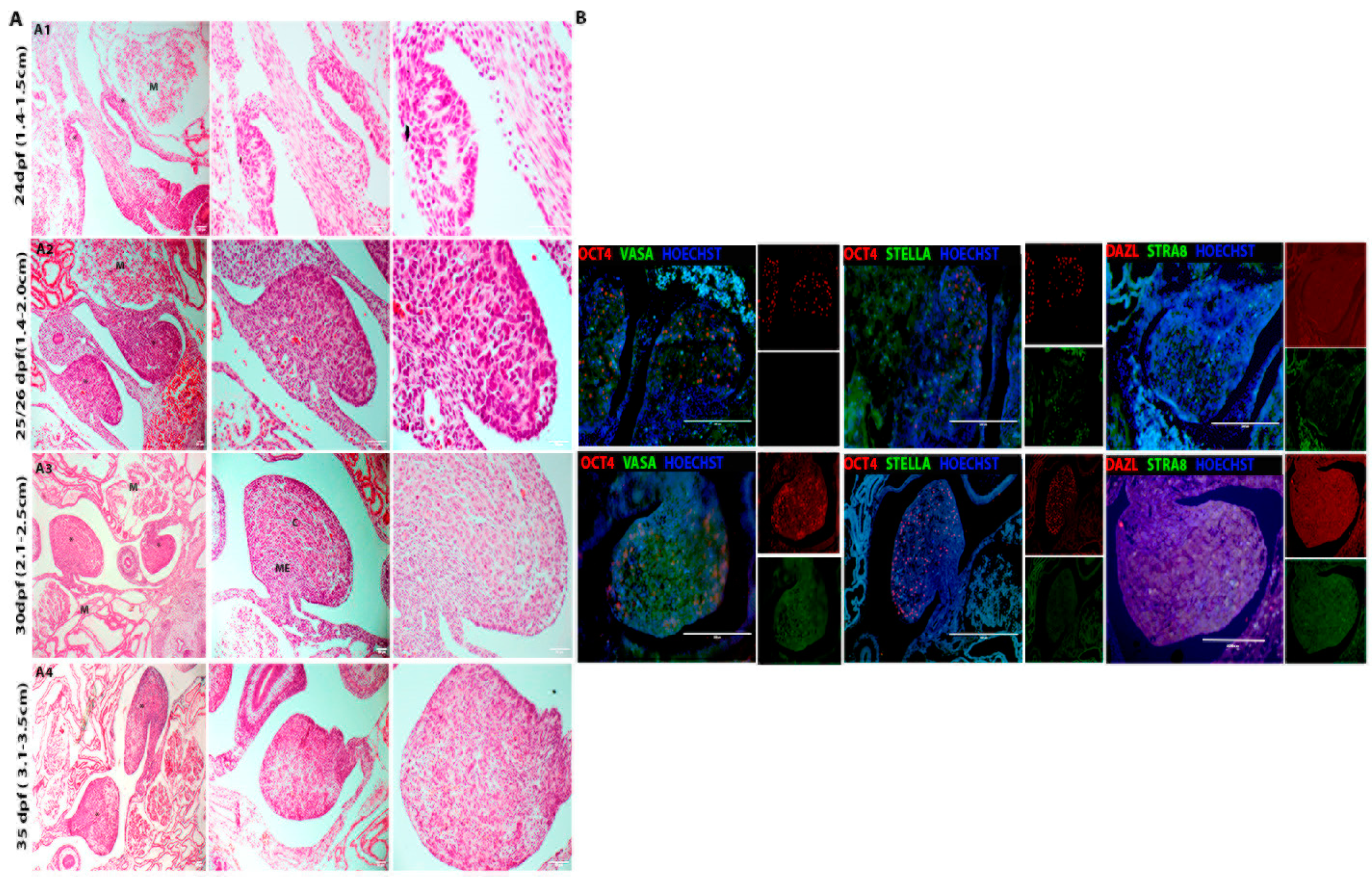 Animals 13 02520 g004