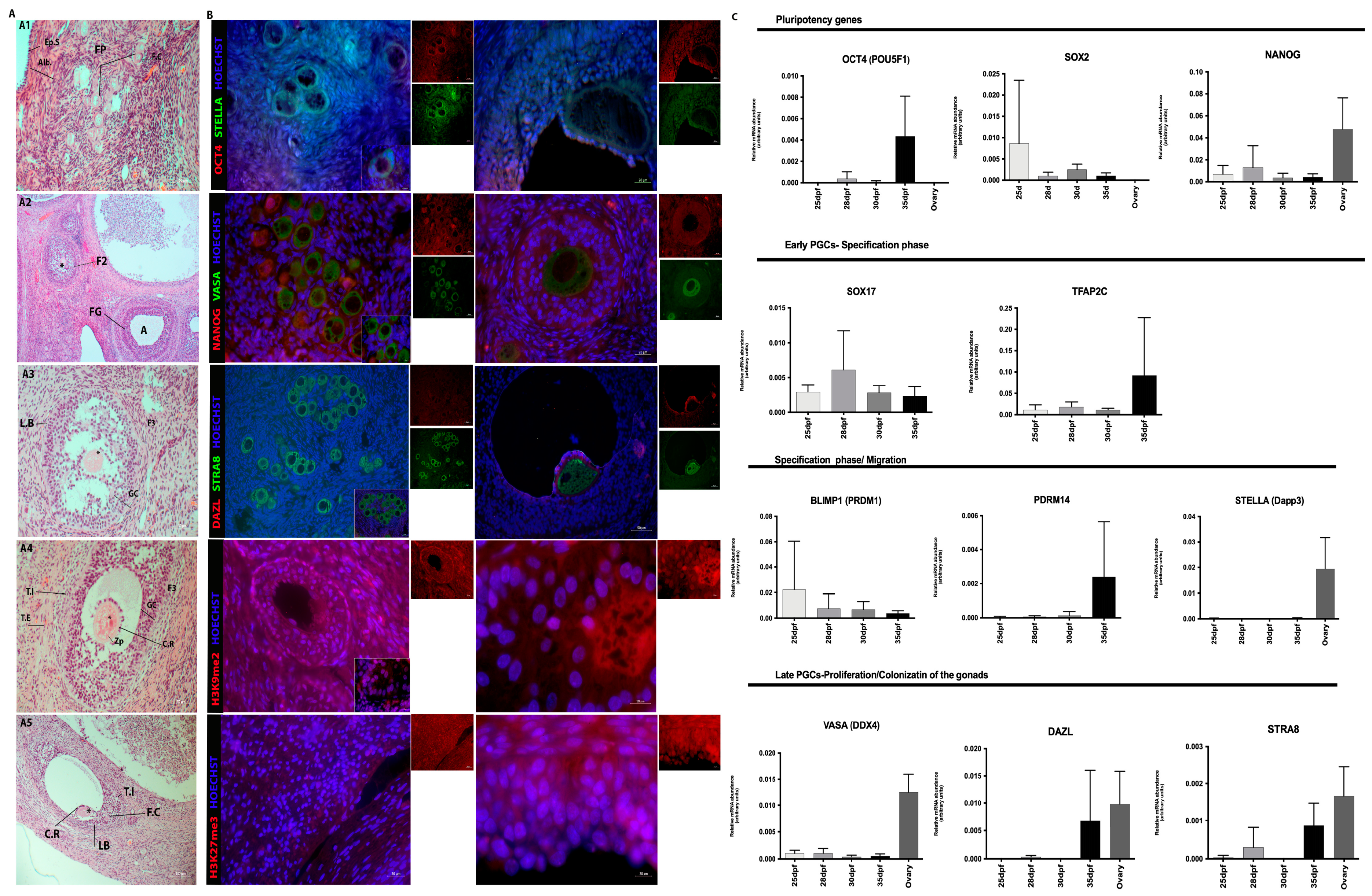 Animals 13 02520 g005