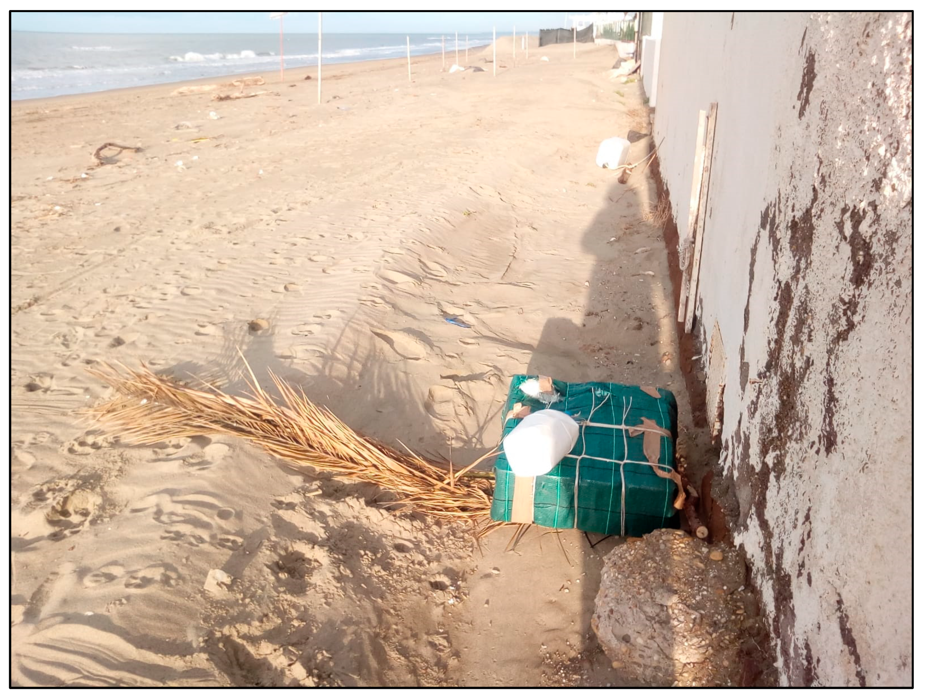 Animals 13 02524 g003 Animals 13 02524 g003