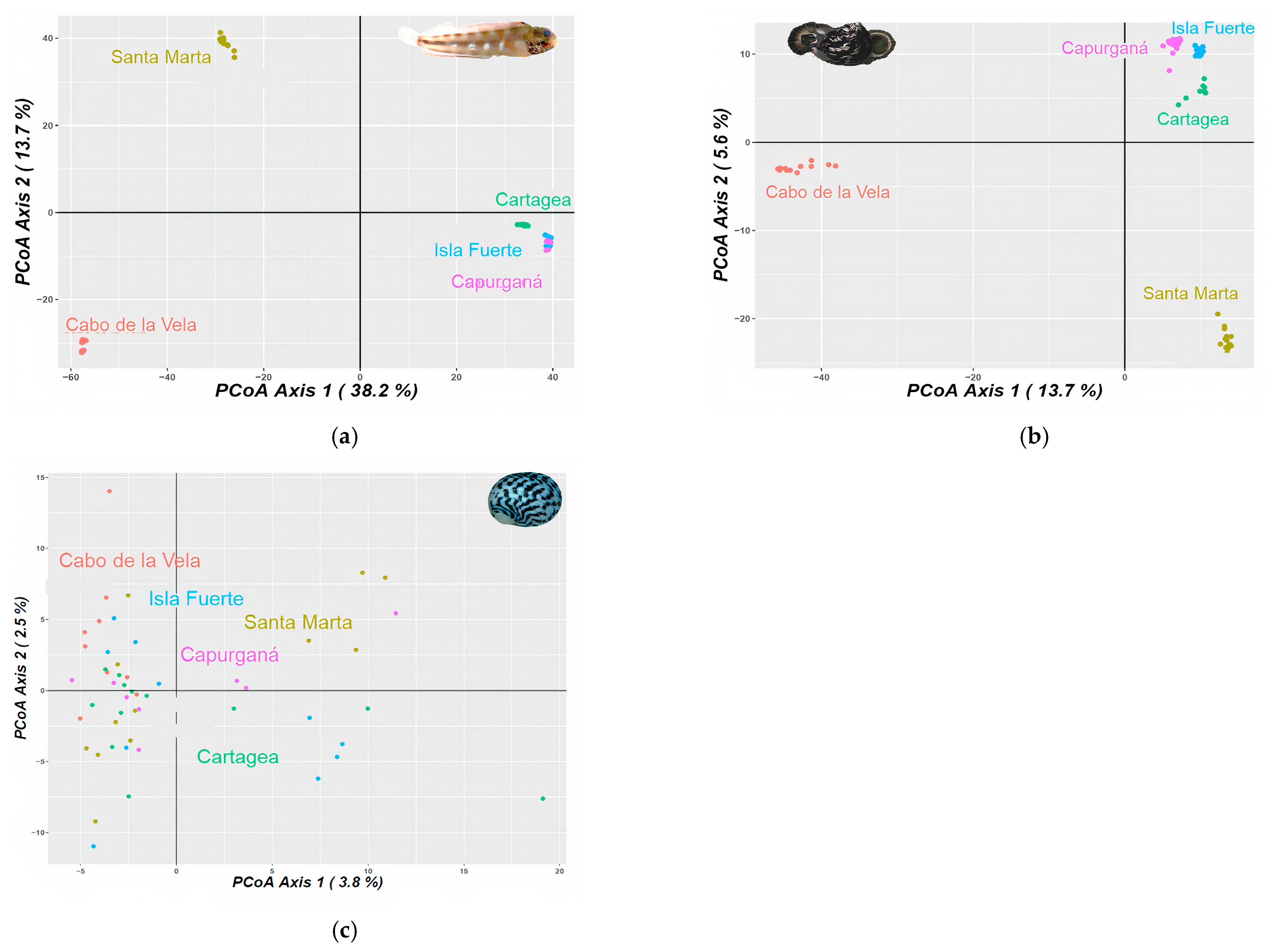 Animals 13 02528 g002 Animals 13 02528 g002