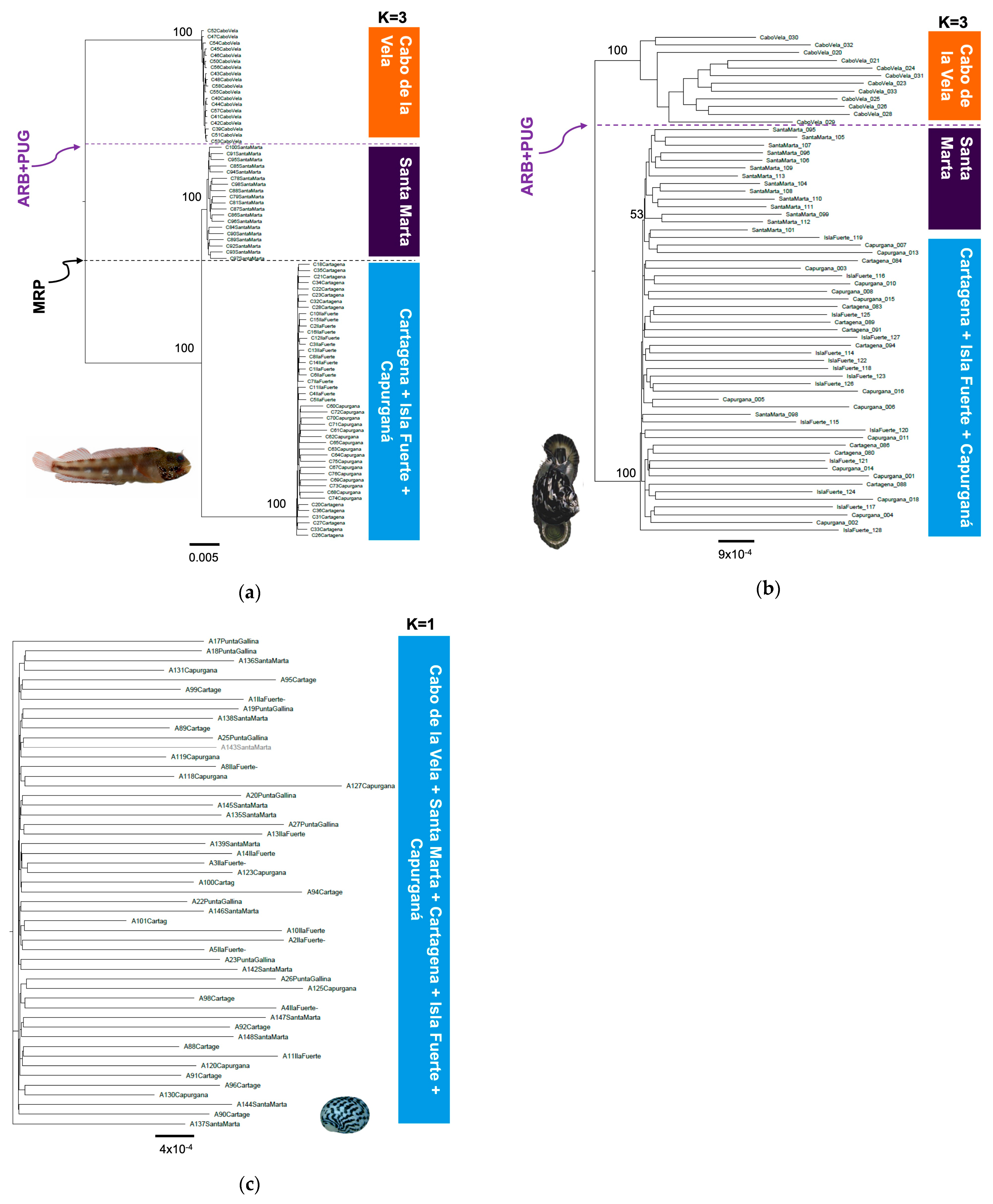Animals 13 02528 g003 Animals 13 02528 g003