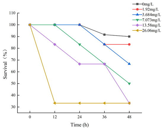 Animals | Free Full-Text | The Effects of Acute Exposure to 