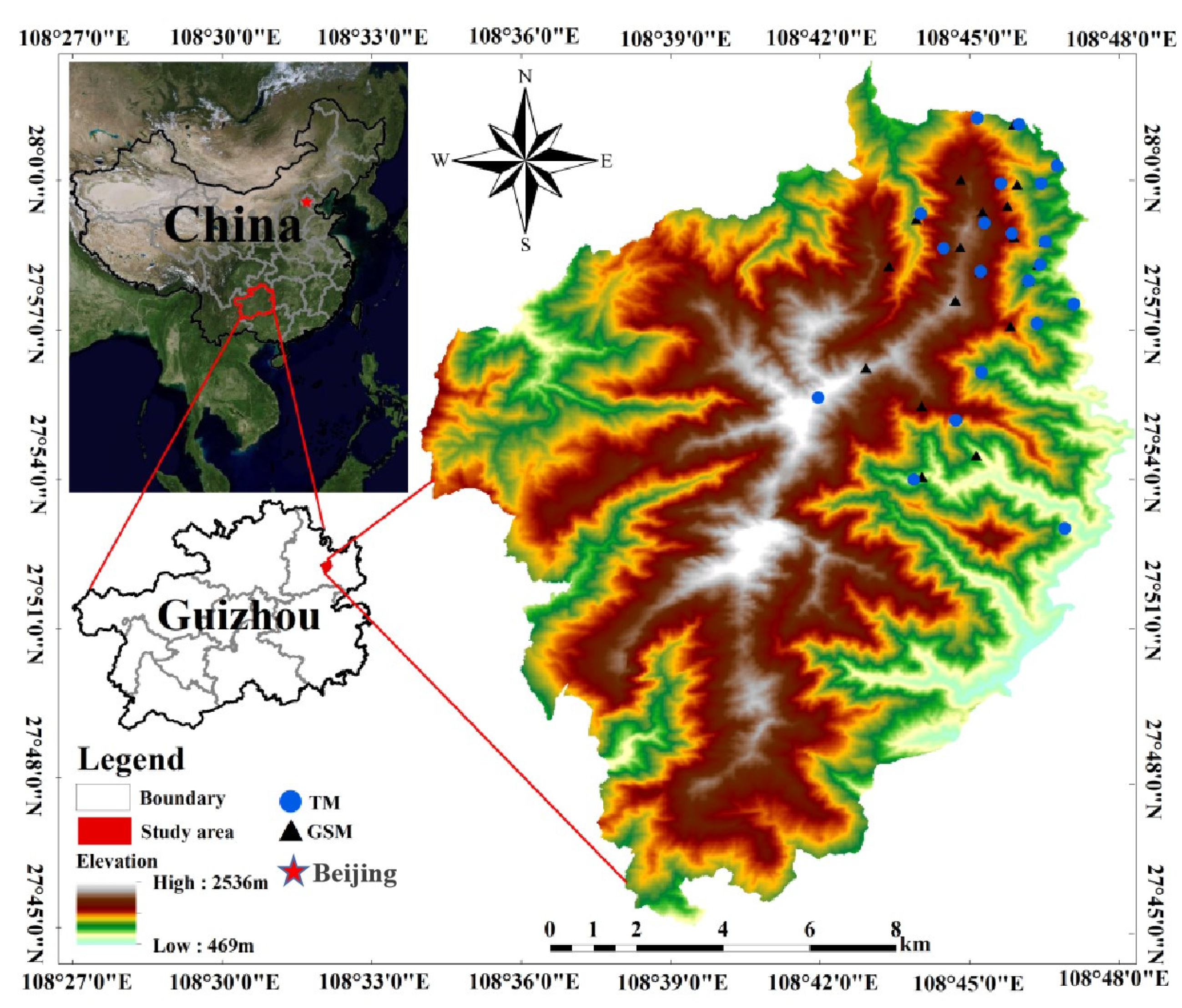 The Food Niche Overlap and Interspecific Relationship