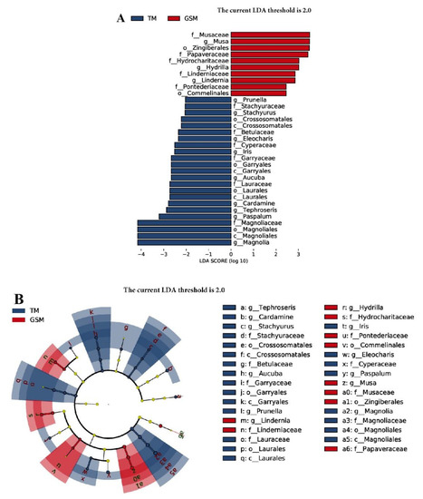 The Food Niche Overlap and Interspecific Relationship