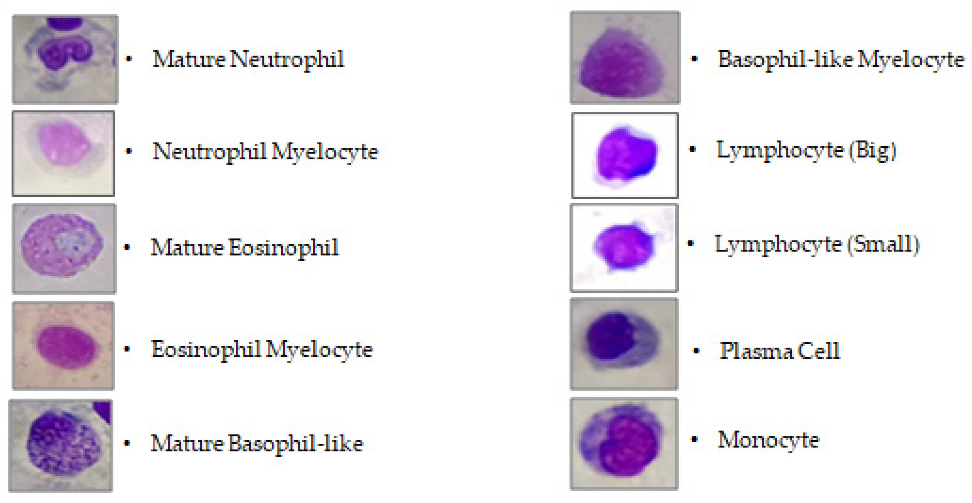 Animals 13 02537 g002 Animals 13 02537 g002