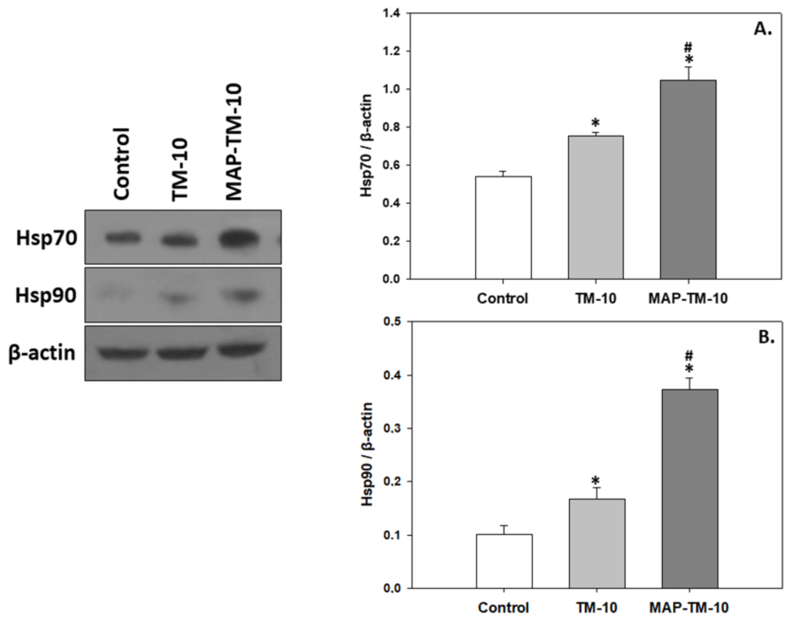 Animals 13 02537 g004 Animals 13 02537 g004