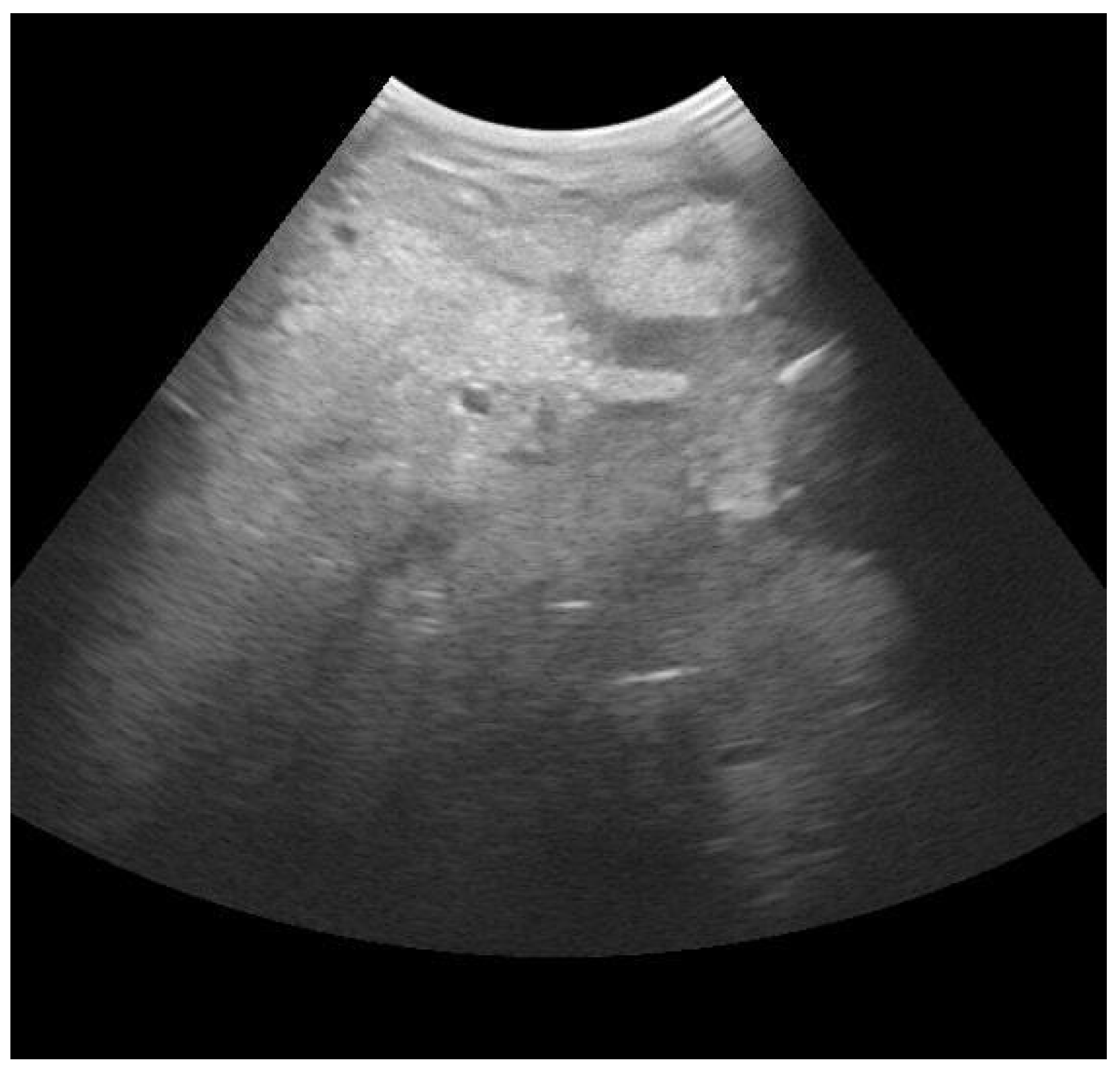 Animals 13 02538 g002 Animals 13 02538 g002