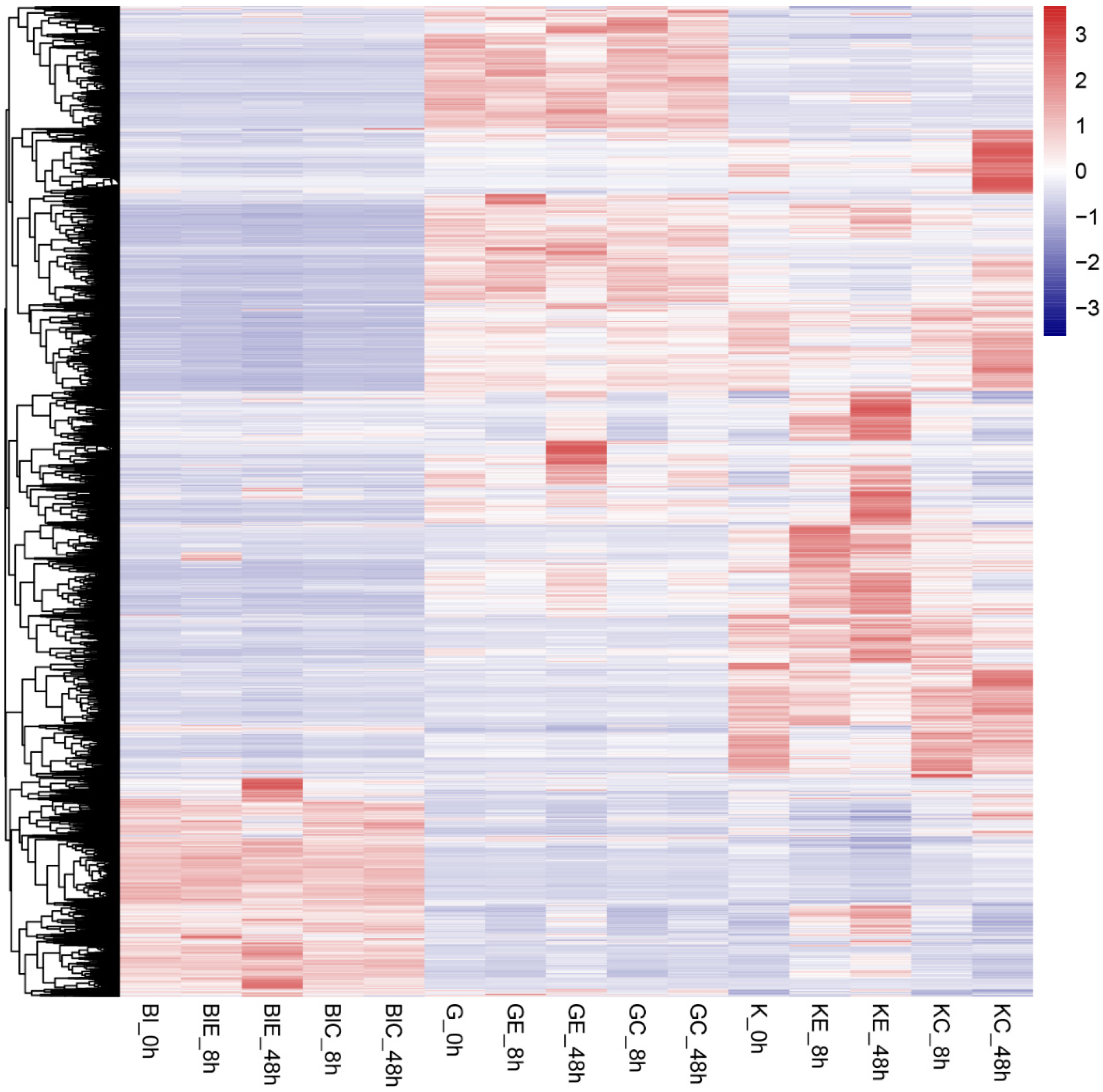 Animals 13 02542 g001 Animals 13 02542 g001