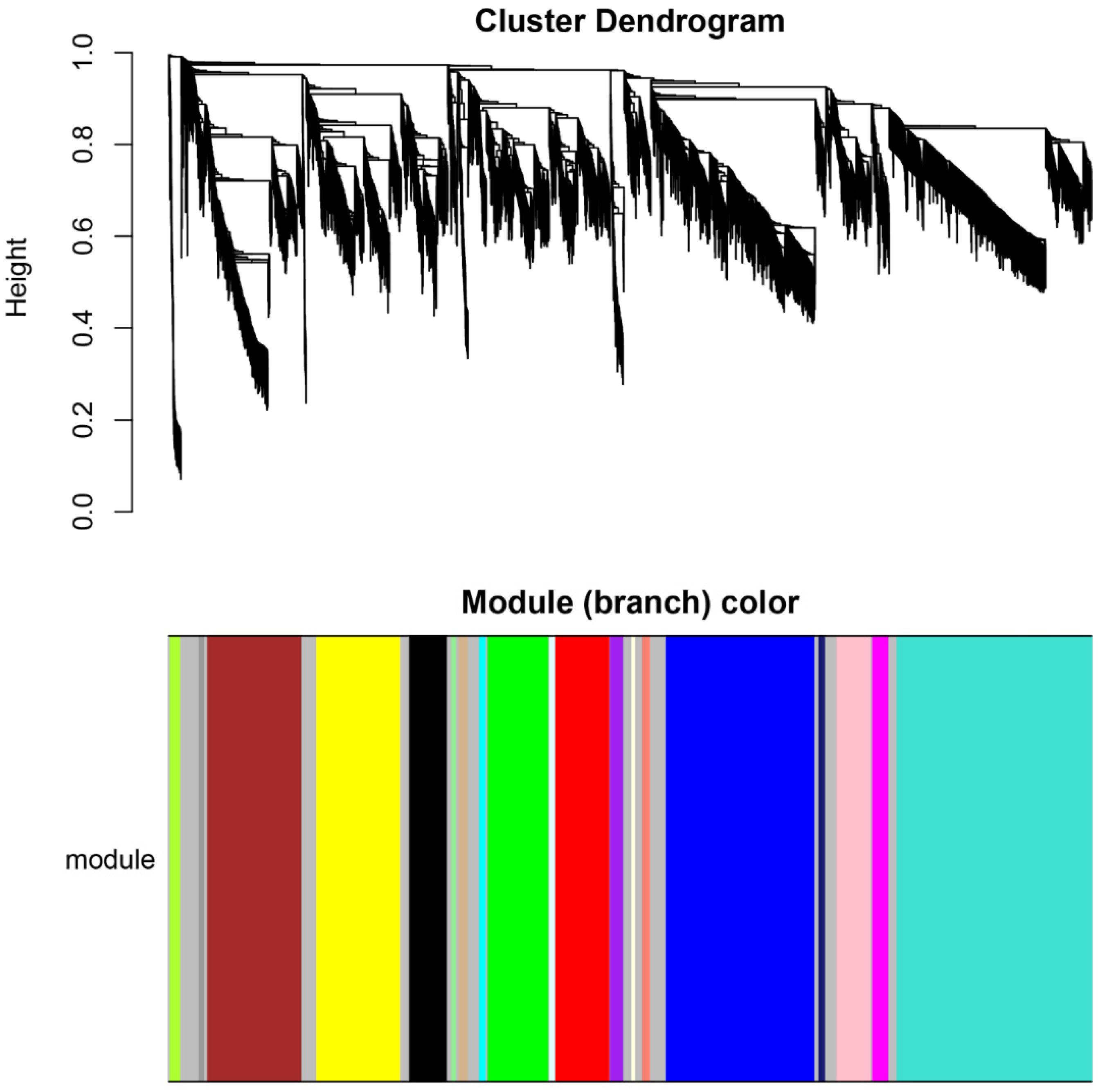 Animals 13 02542 g003 Animals 13 02542 g003