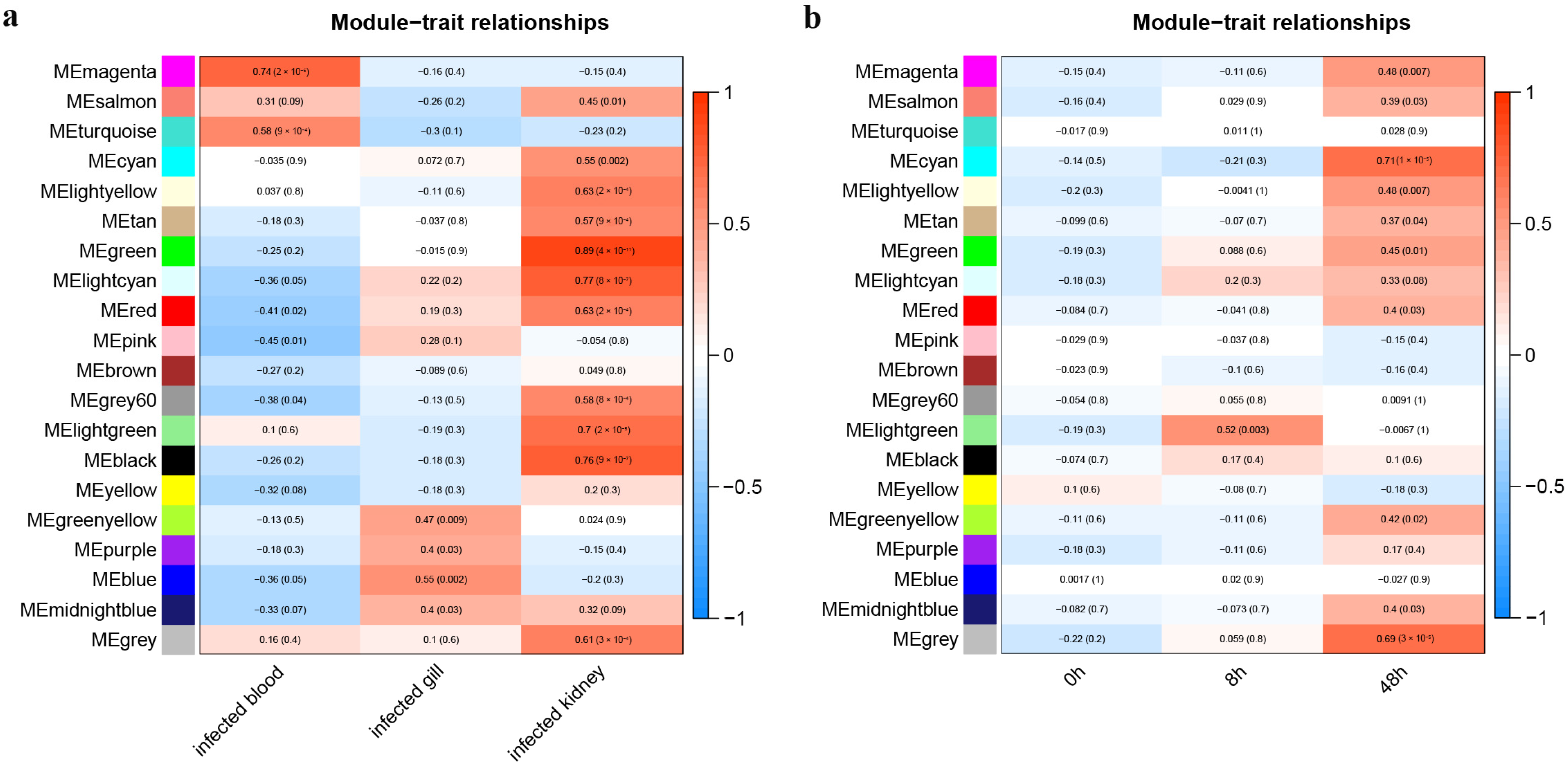 Animals 13 02542 g004 Animals 13 02542 g004