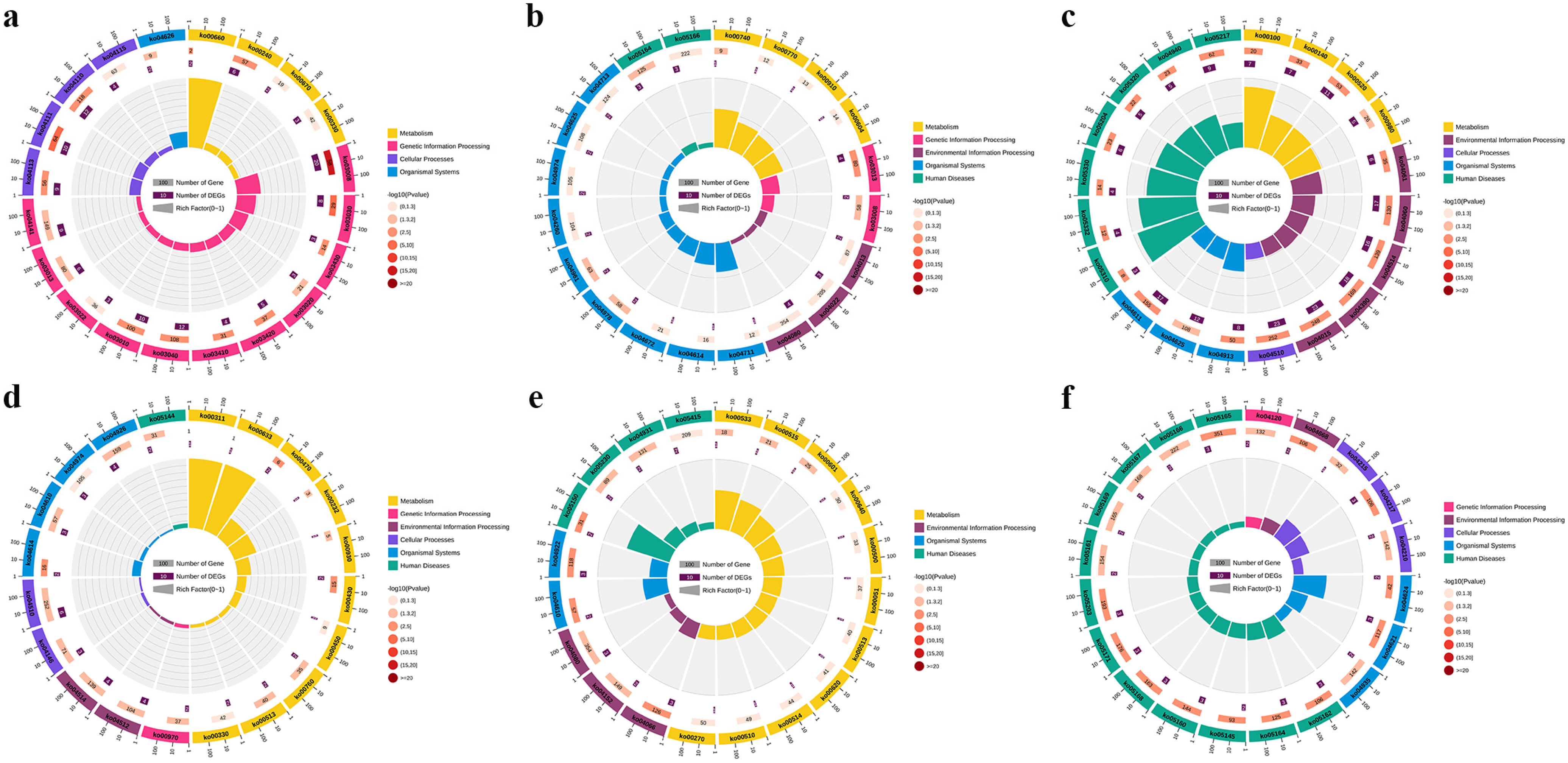 Animals 13 02542 g006 Animals 13 02542 g006