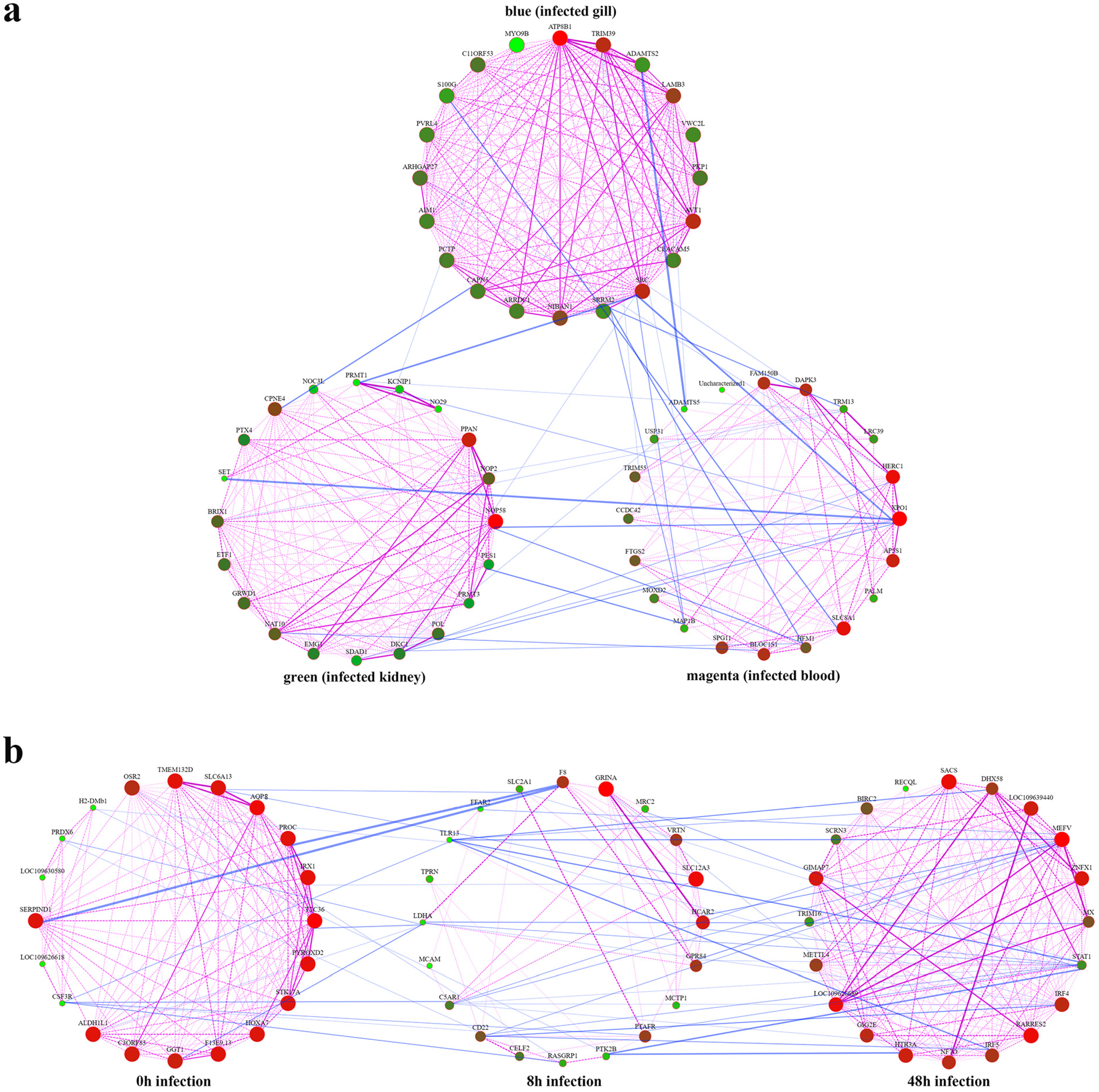 Animals 13 02542 g007 Animals 13 02542 g007