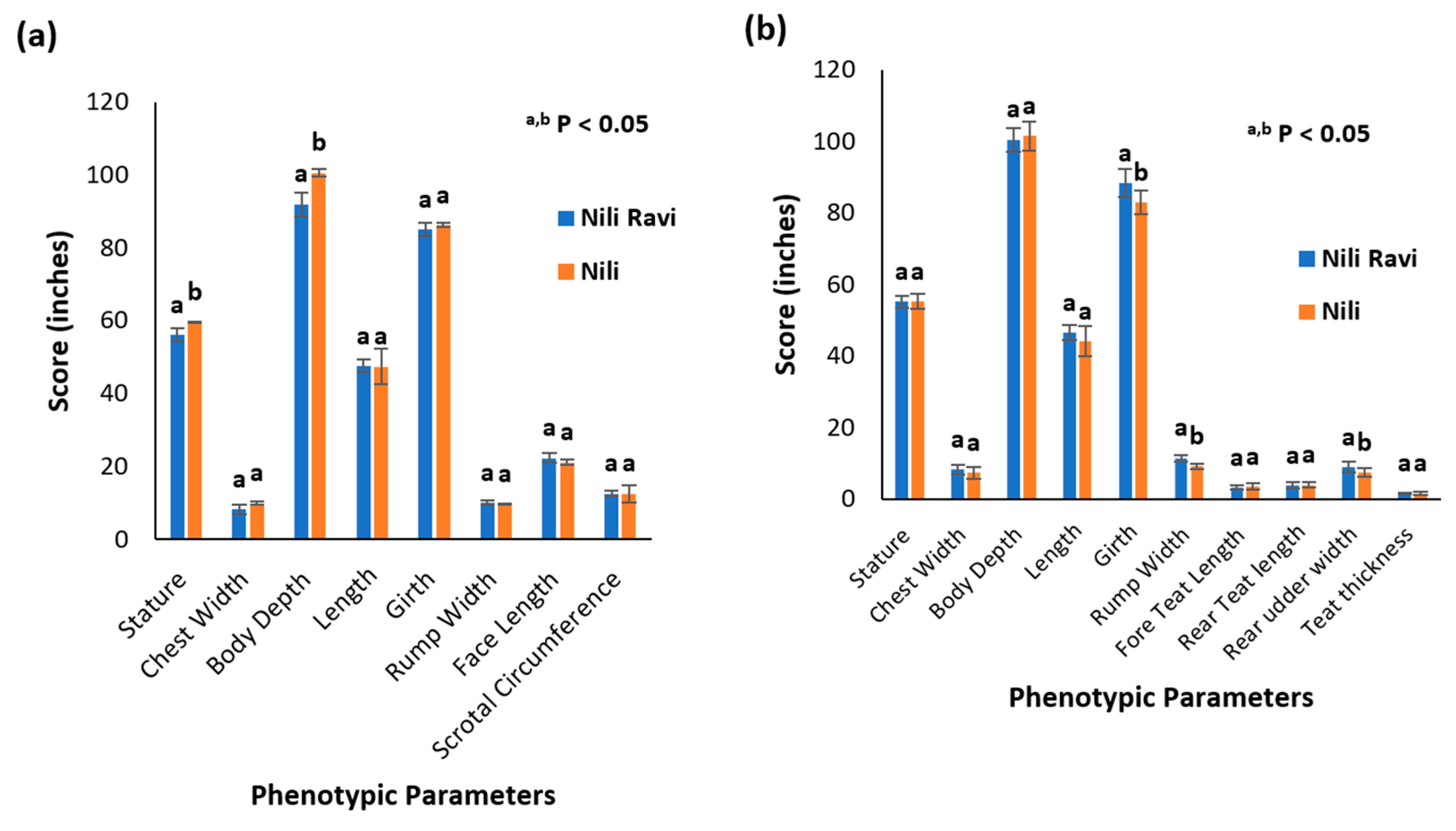 Animals 13 02543 g003 Animals 13 02543 g003