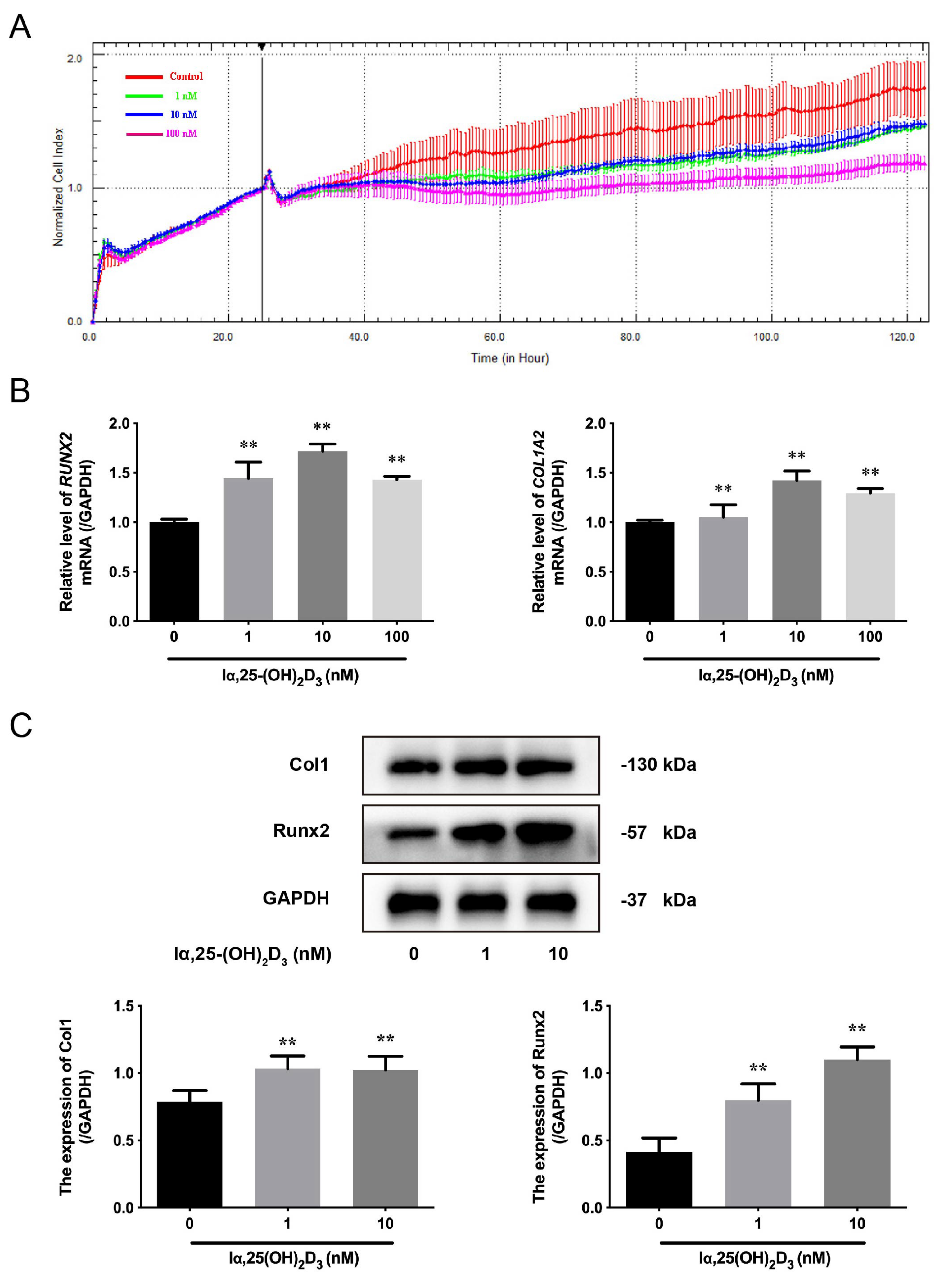 Animals 13 02544 g001 Animals 13 02544 g001