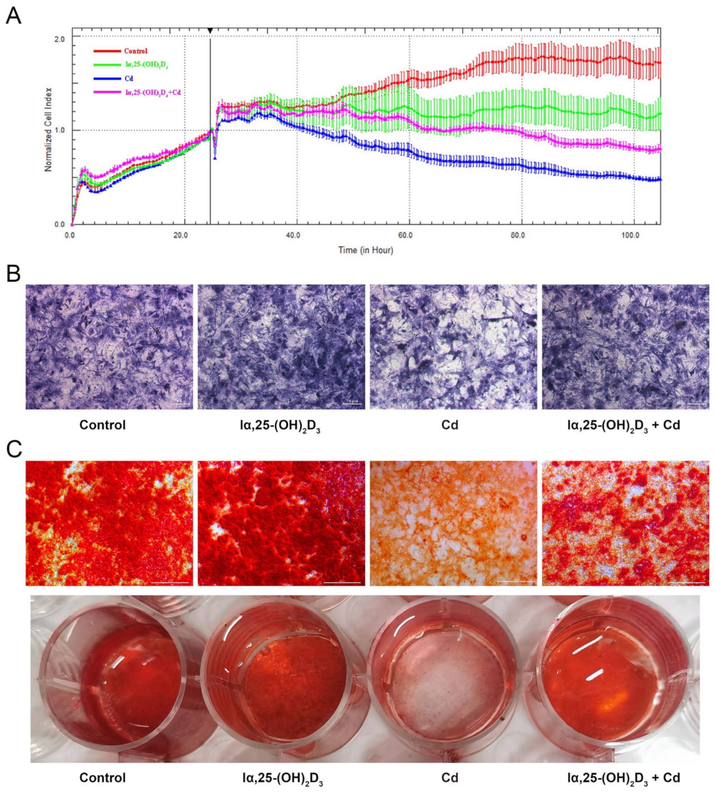 Animals 13 02544 g002 Animals 13 02544 g002