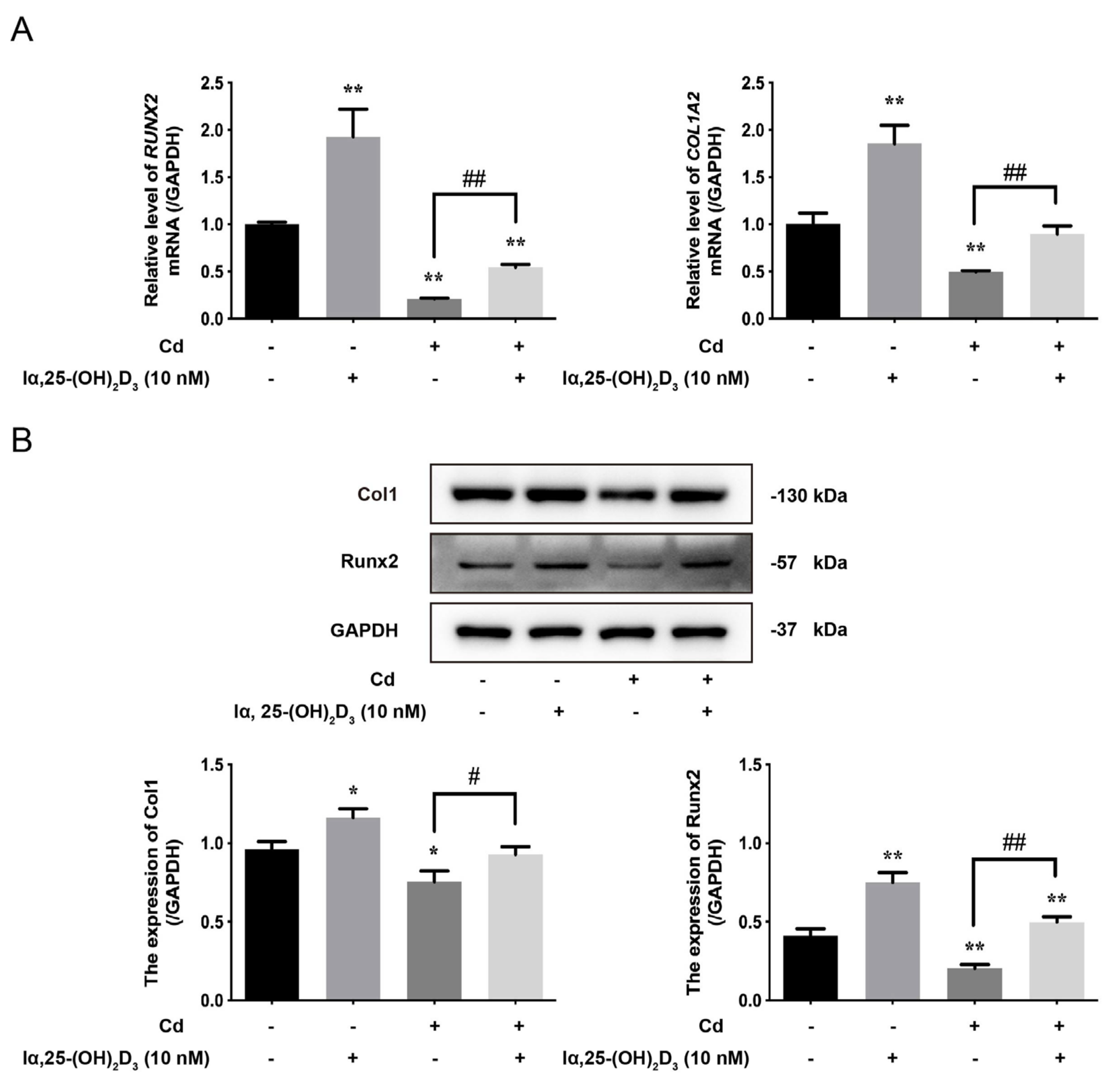 Animals 13 02544 g004 Animals 13 02544 g004