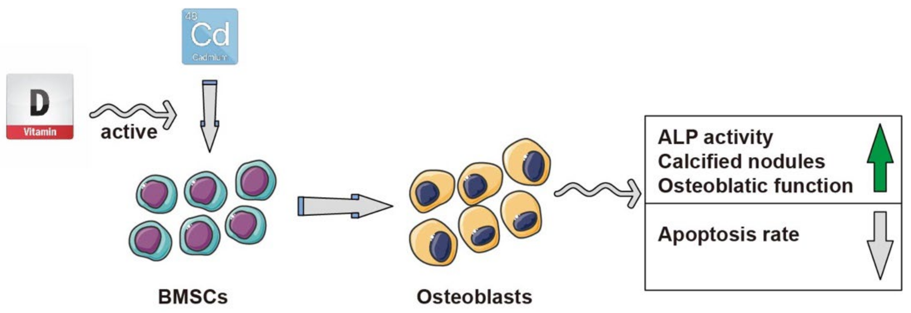 Animals 13 02544 g006 Animals 13 02544 g006