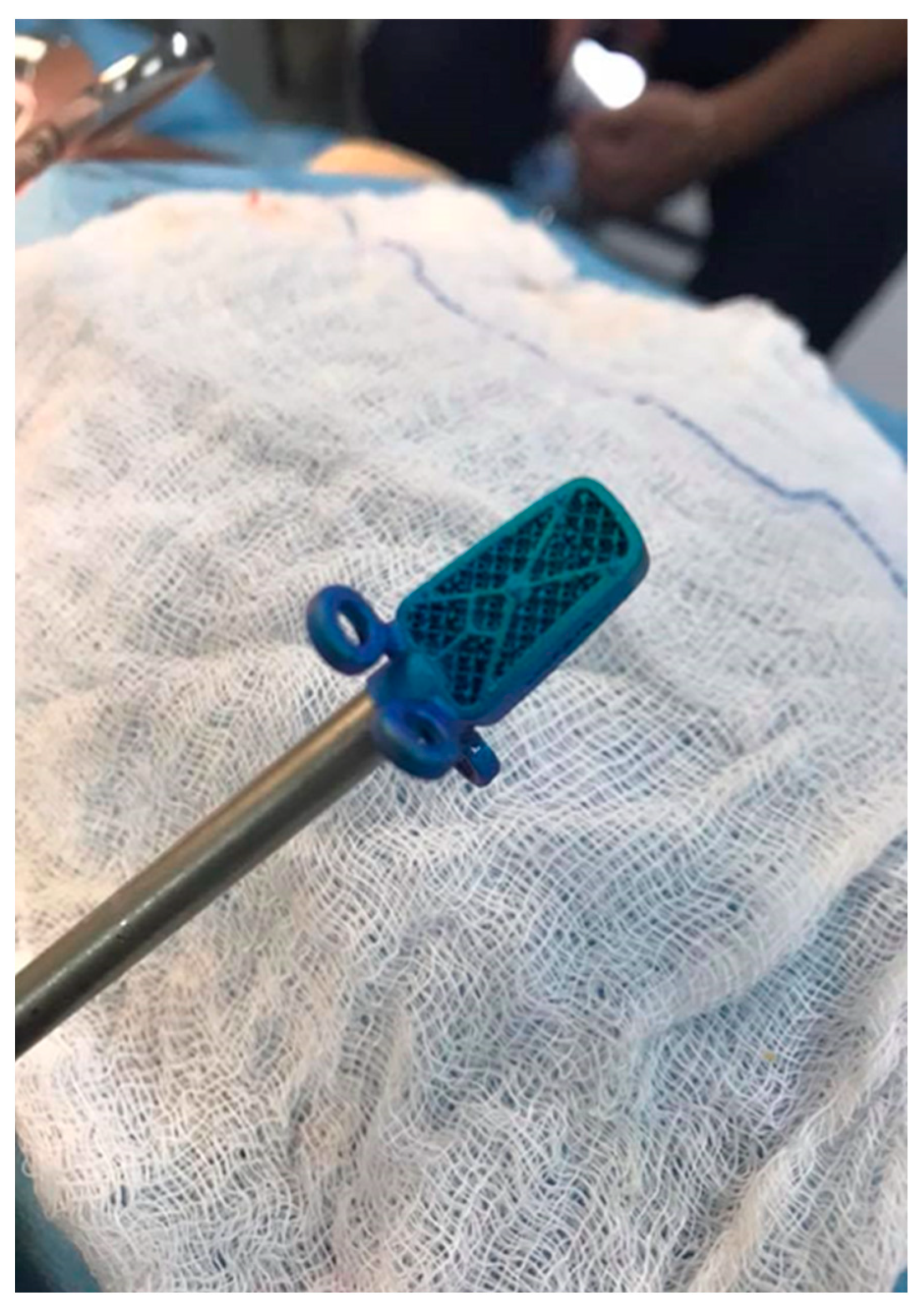 Animals 13 02549 g001 Animals 13 02549 g001