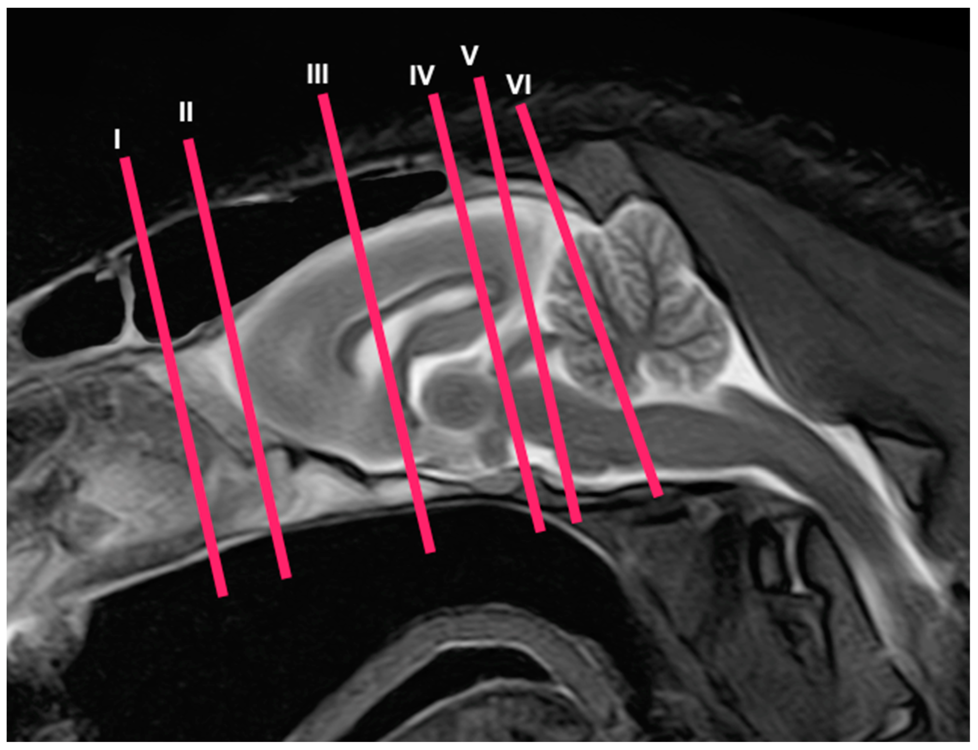 Animals 13 02551 g001 Animals 13 02551 g001