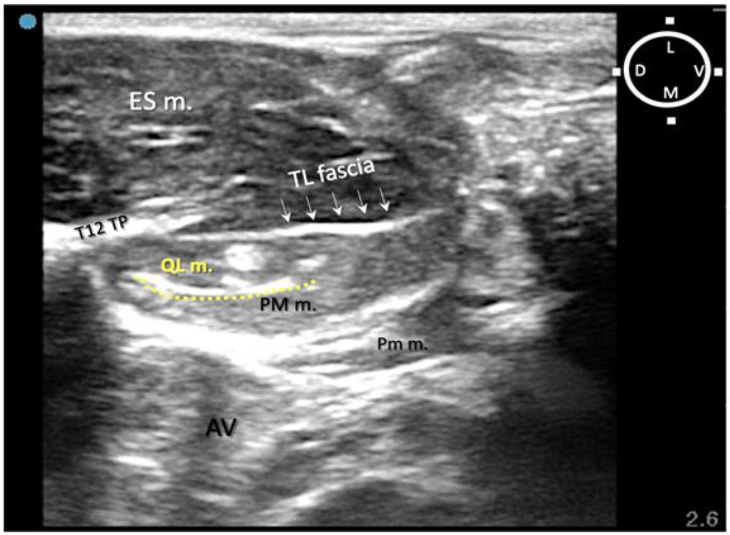 Animals 13 02559 g003