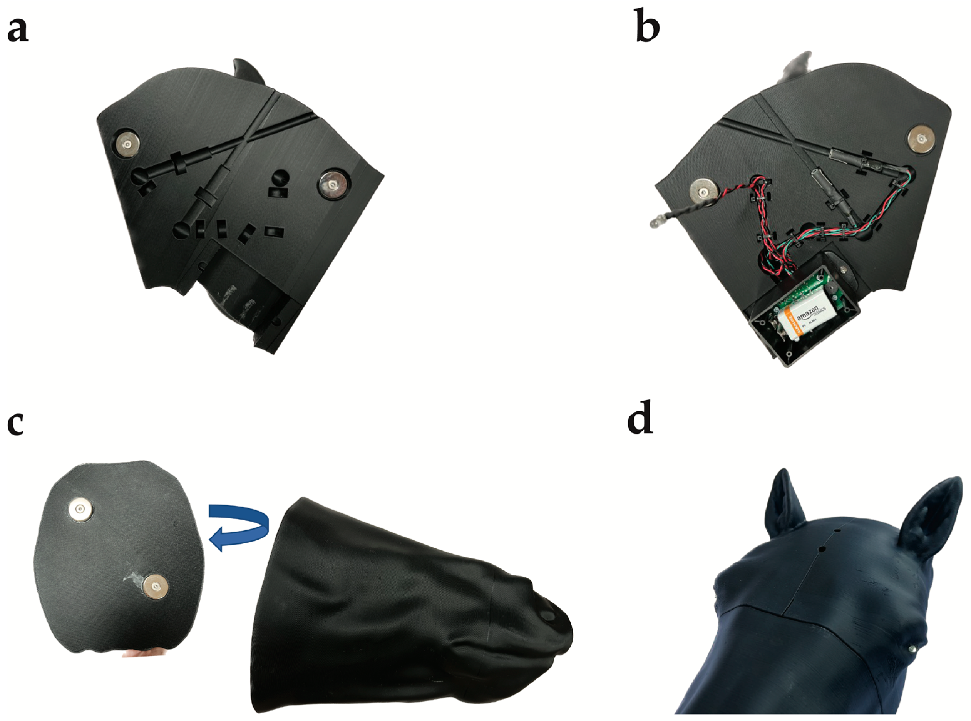 Animals 13 02566 g009