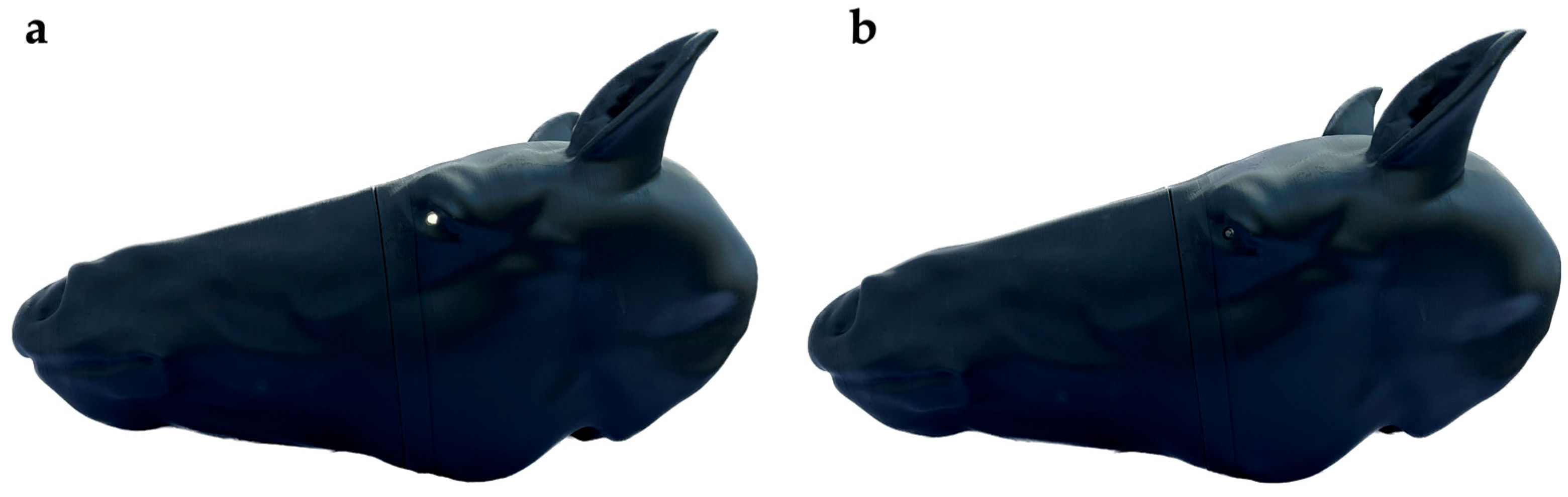 Animals 13 02566 g010