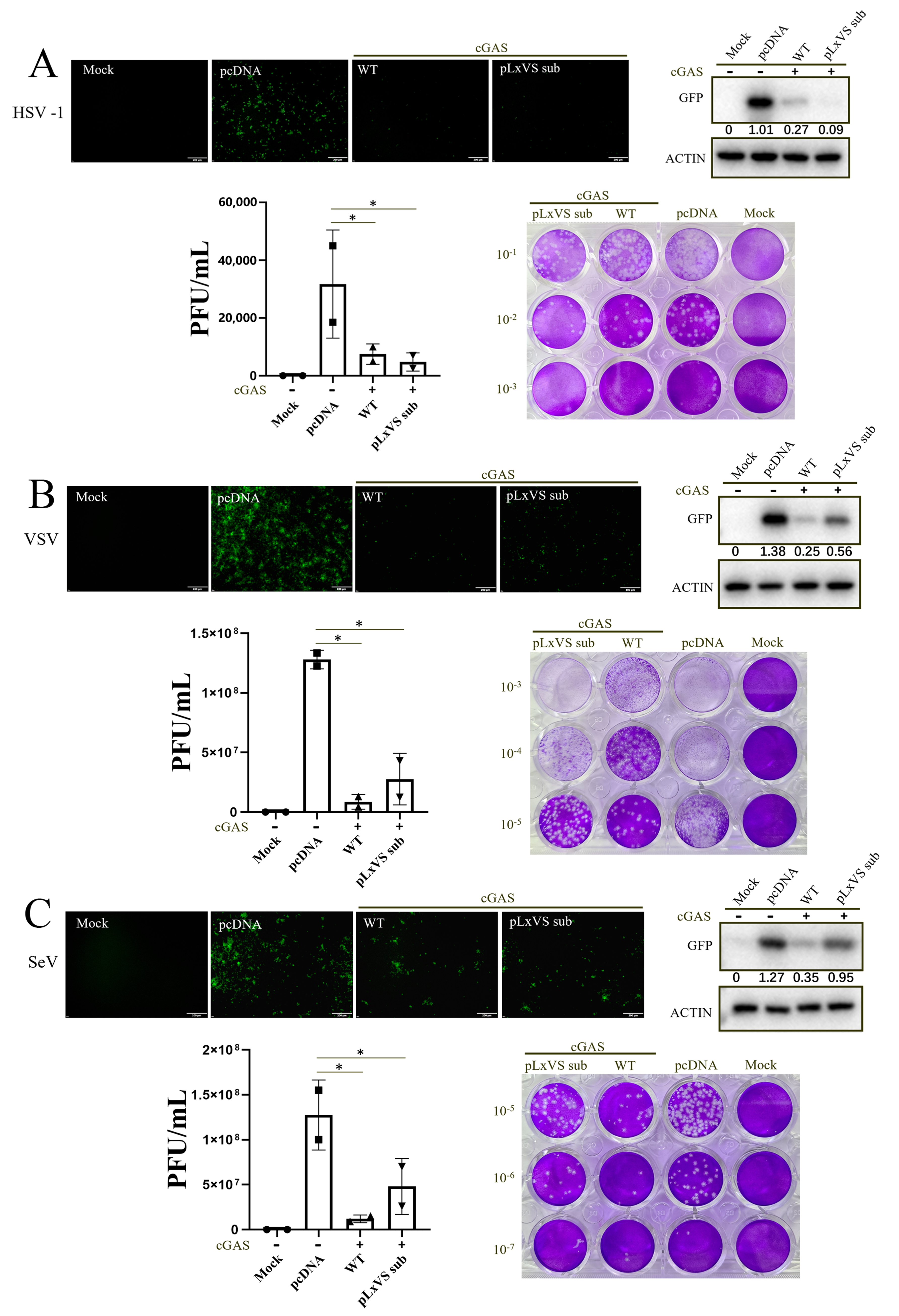 Animals 13 02573 g001